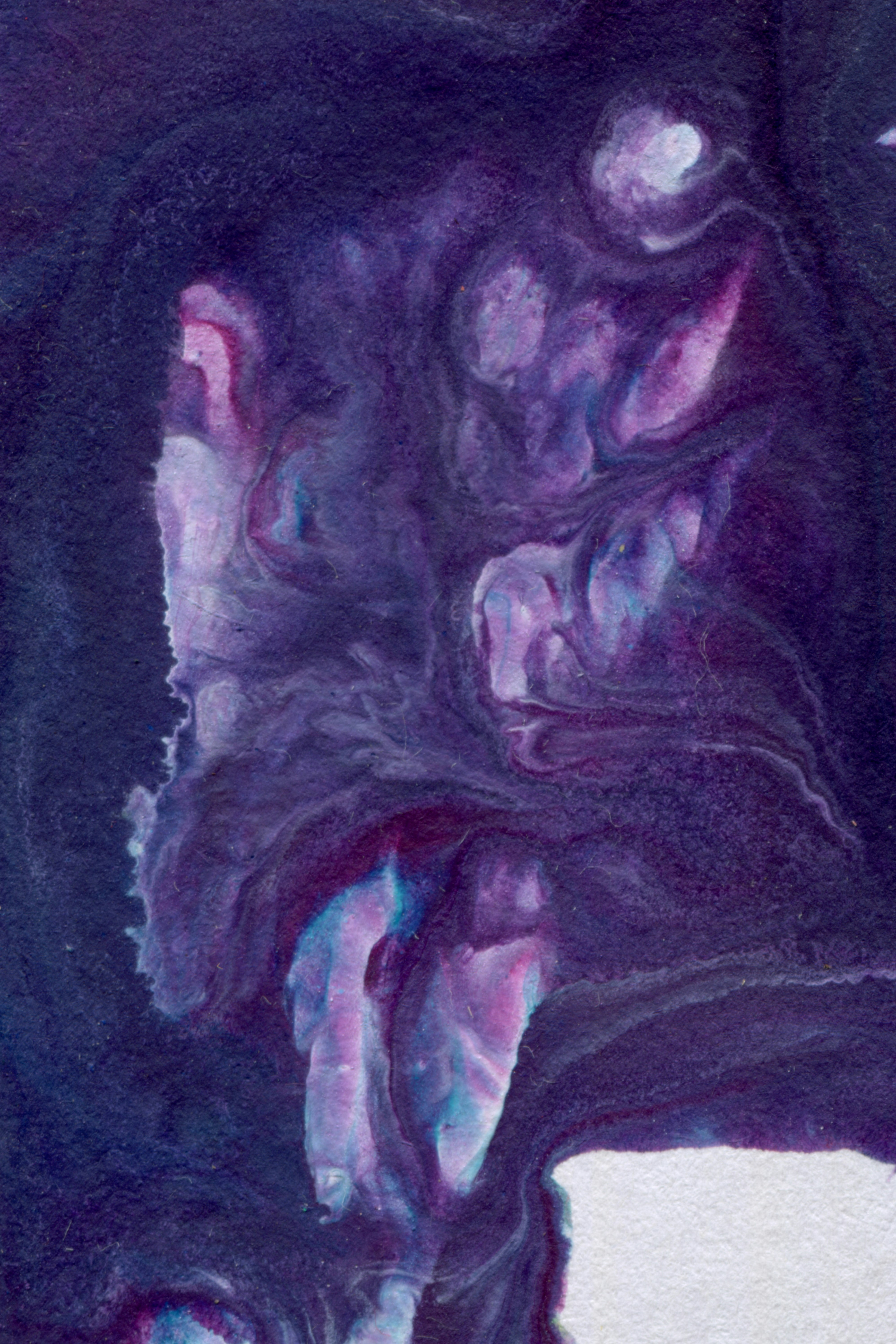 Photo by sensoryarthouse