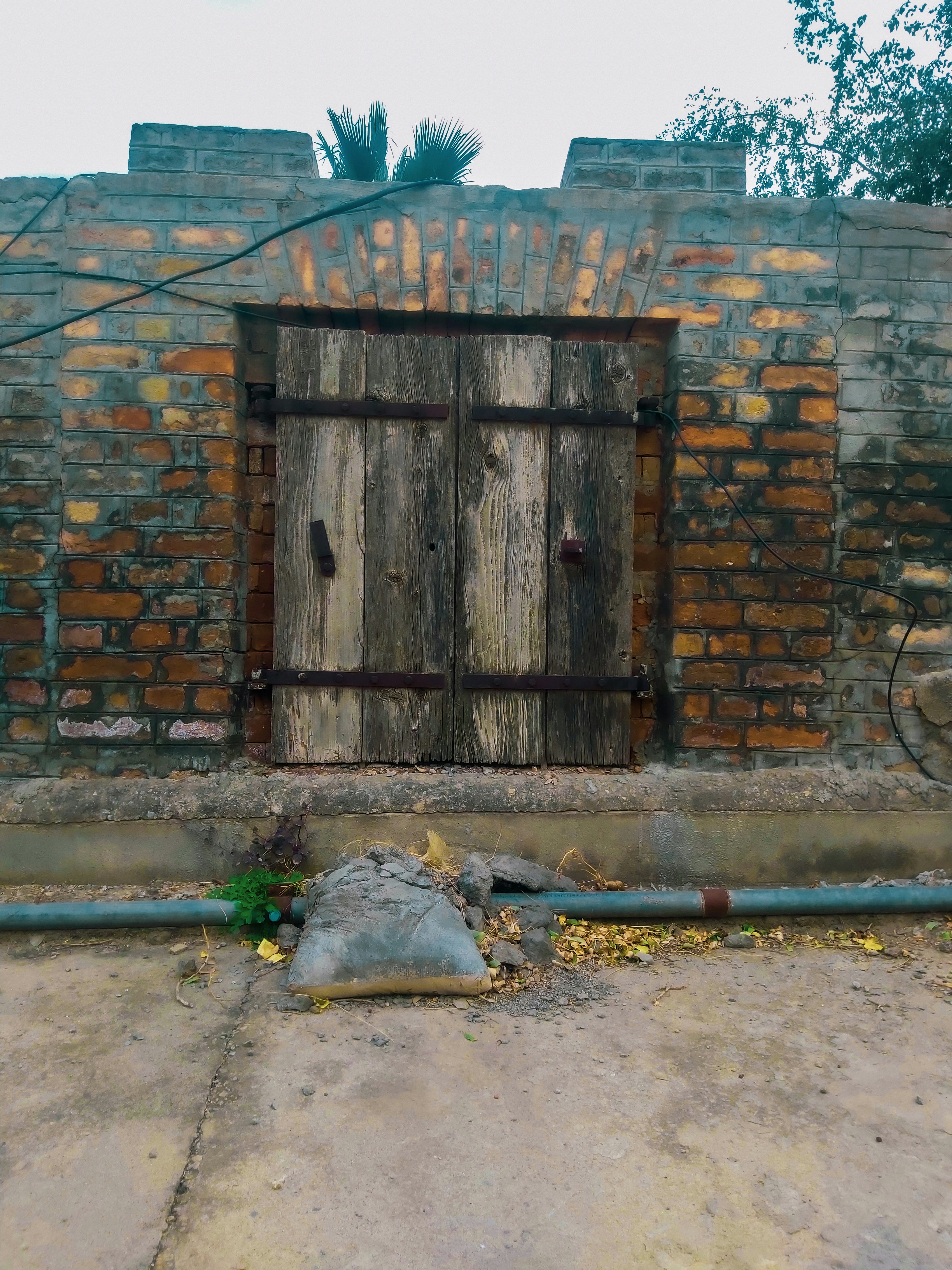 photo-1739103807199-70153a2be78f?ixid=M3wxMjA3fDB8MXxzZWFyY2h8OHx8c2h1dHRlcnN0b2NrfGVufDB8fHx8MTc2MTEzOTY5OXww\u0026ixlib=rb-4.1.0