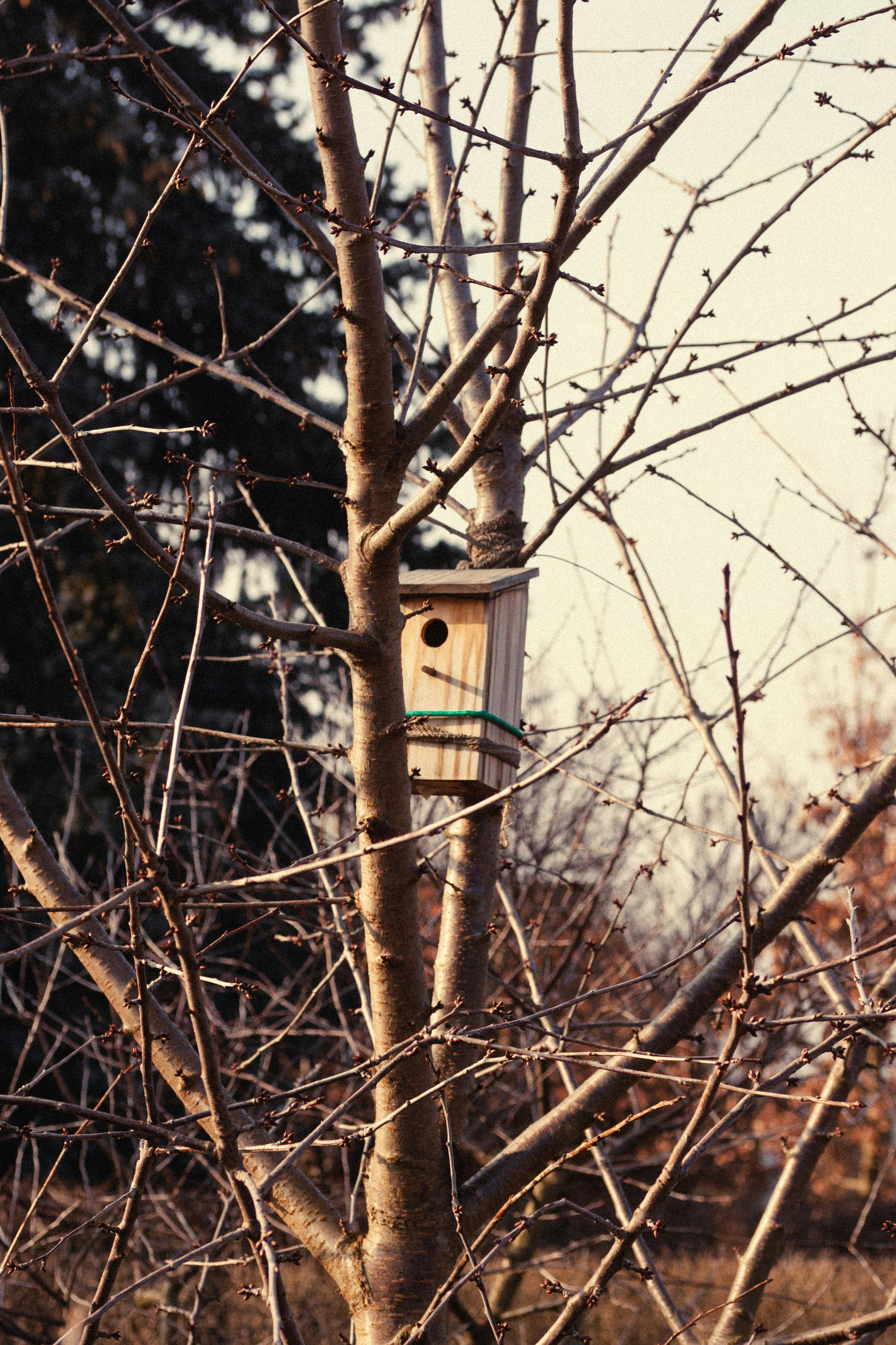 Photo by benkupke