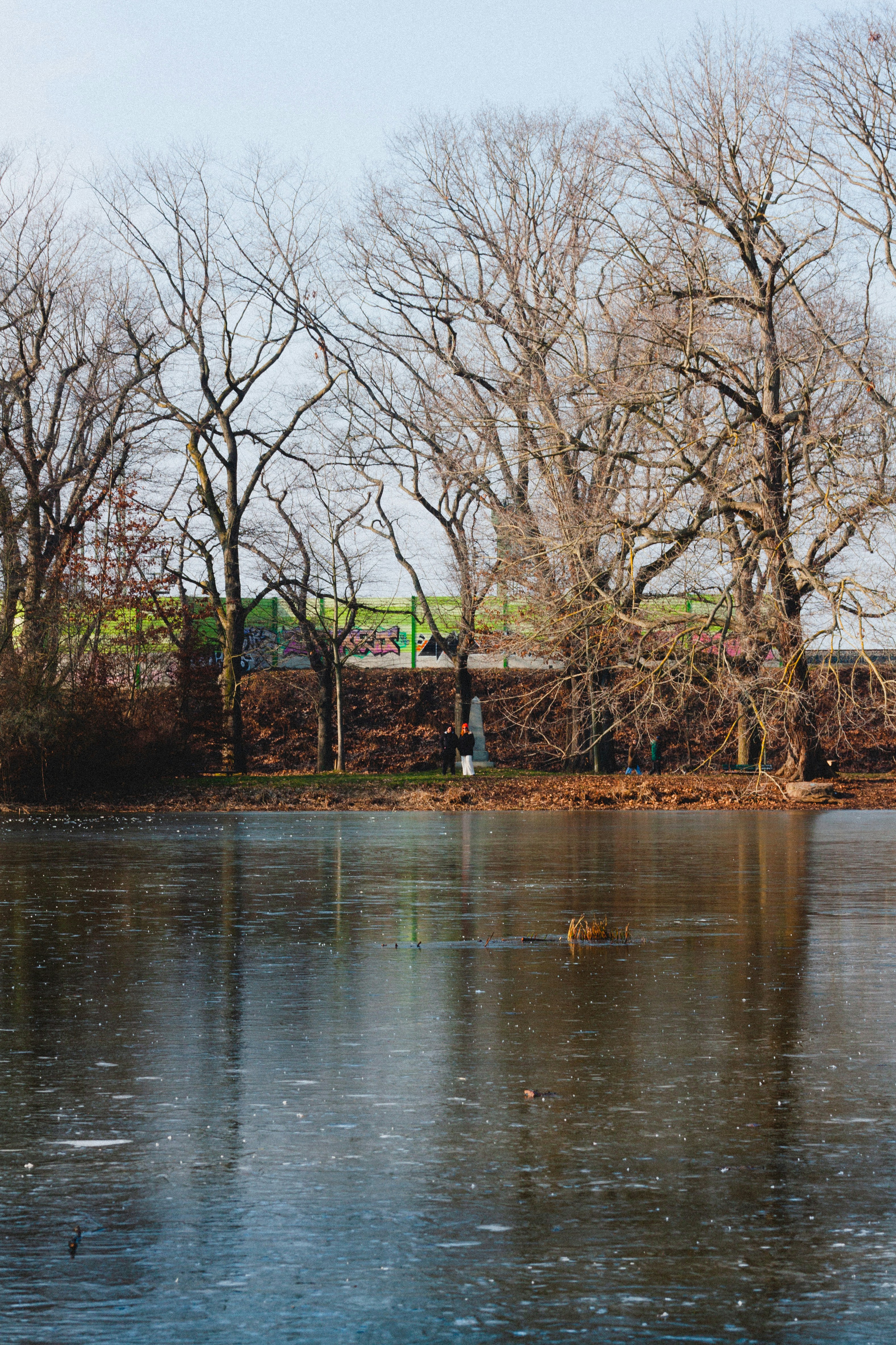 A large body of water with trees in the background