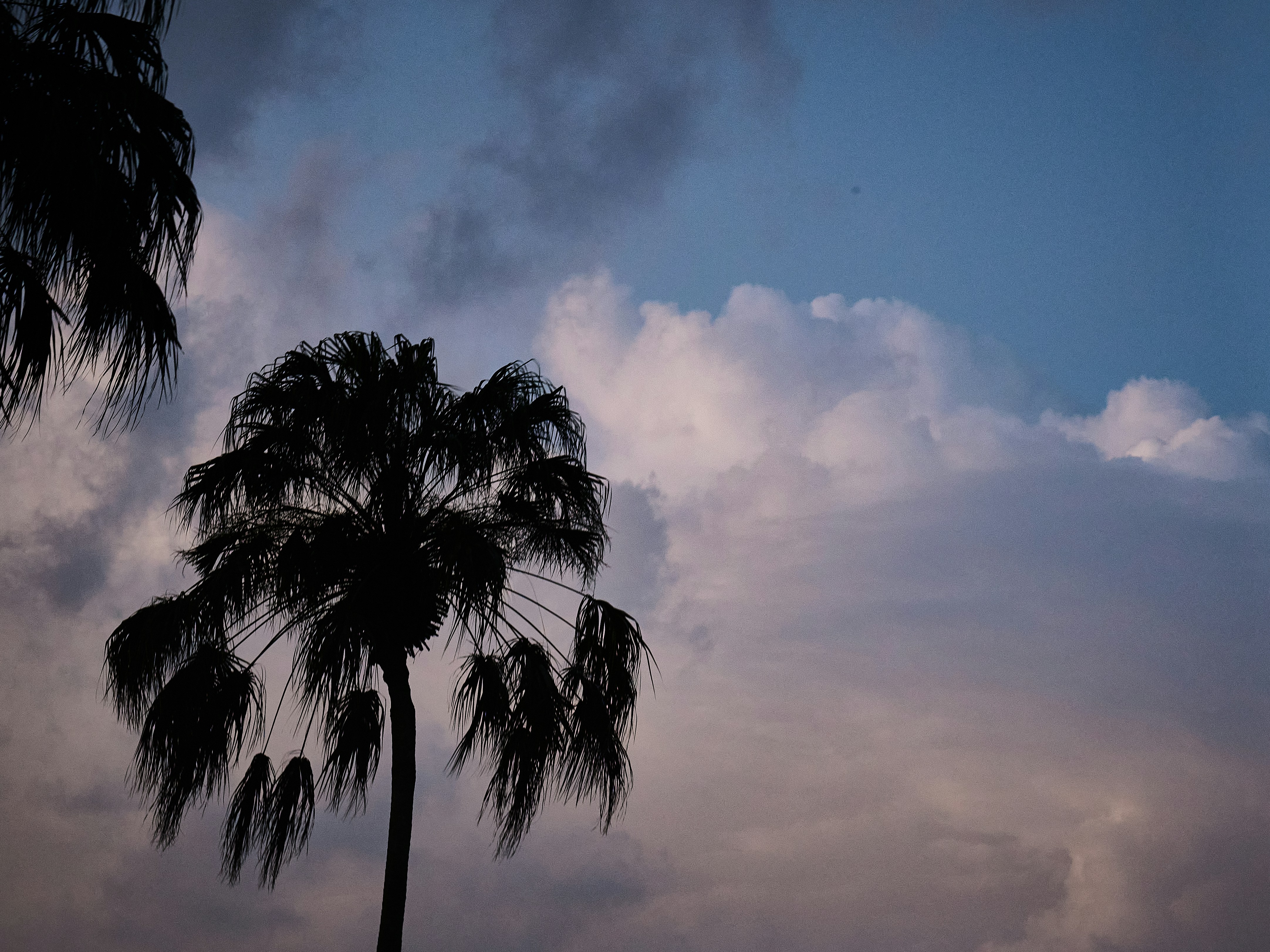 Photo by krzhck