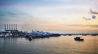 A harbor filled with lots of boats under a cloudy sky