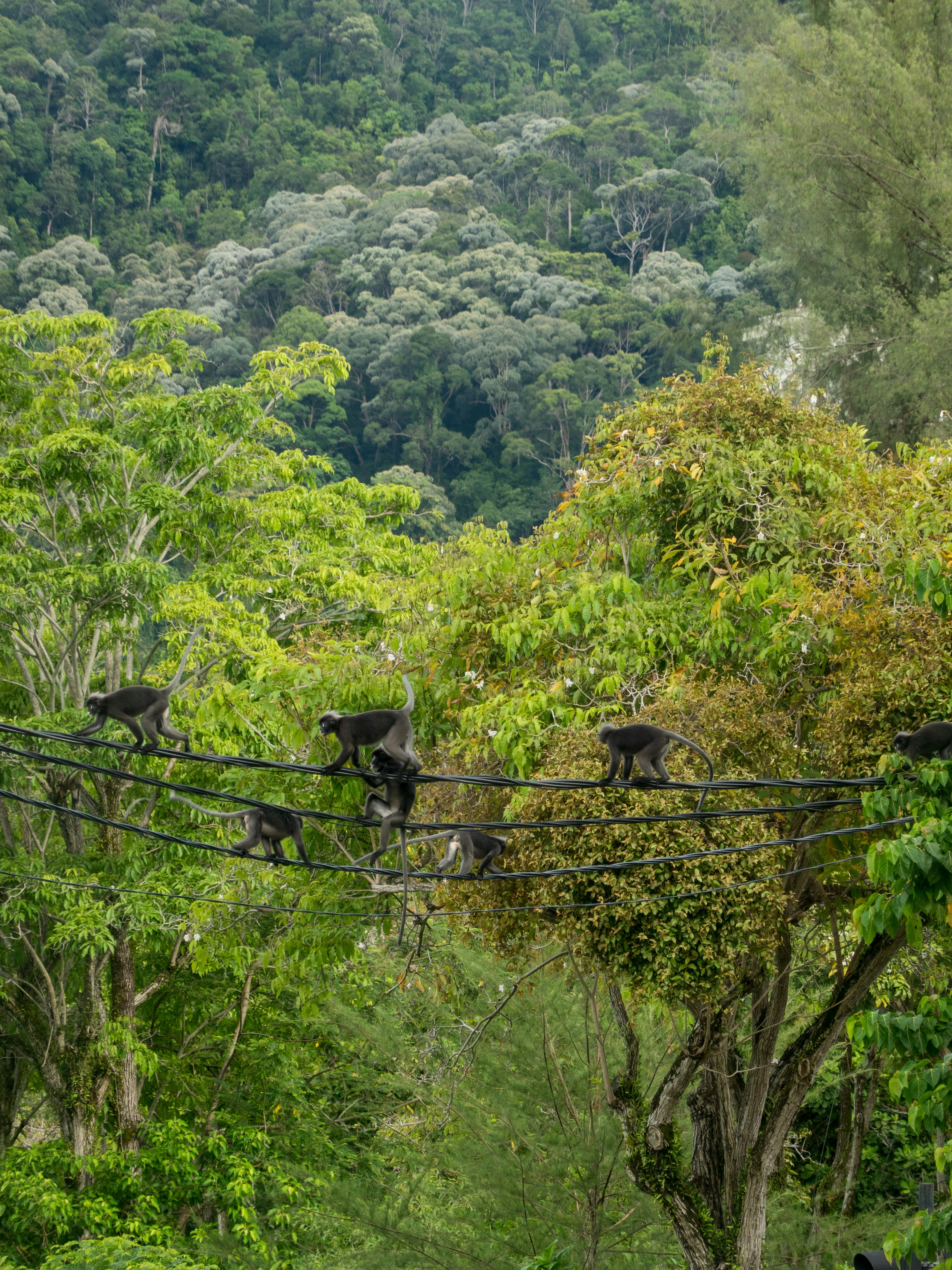 The Revolutionary Wildlife Hospital That's Changing Everything (image credits: unsplash)