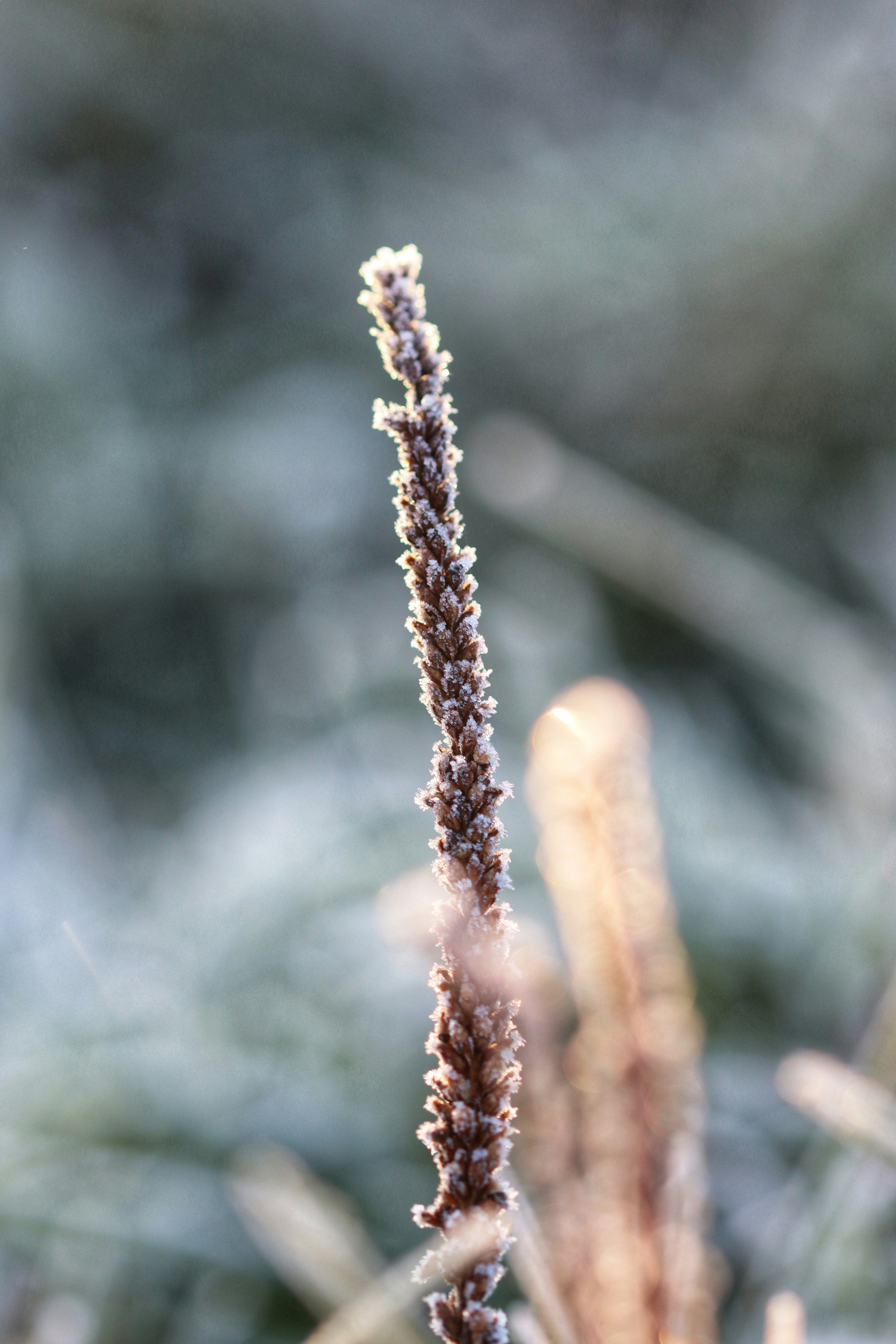 Photo by sarahhongerloot