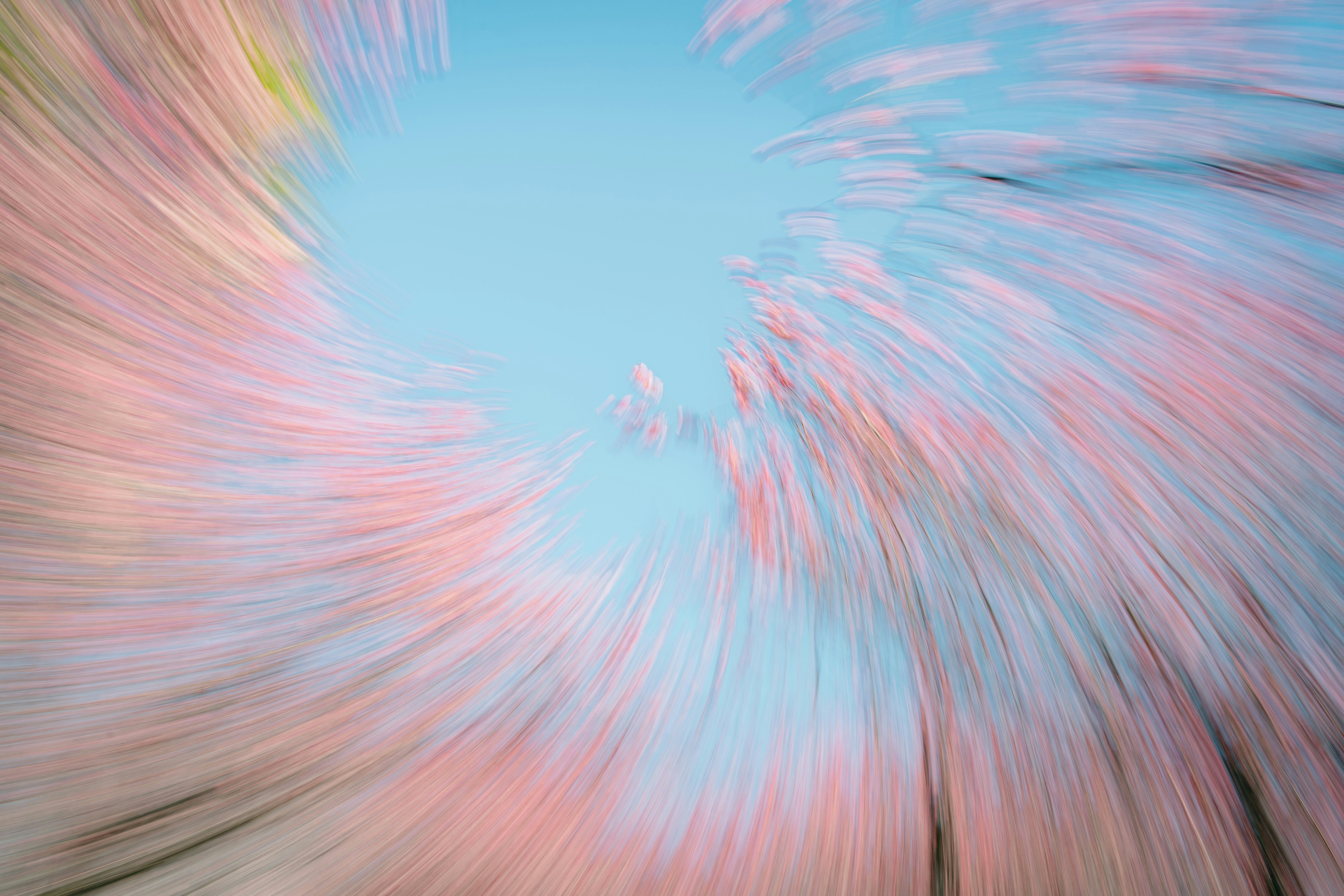 Photo by xiexianghua