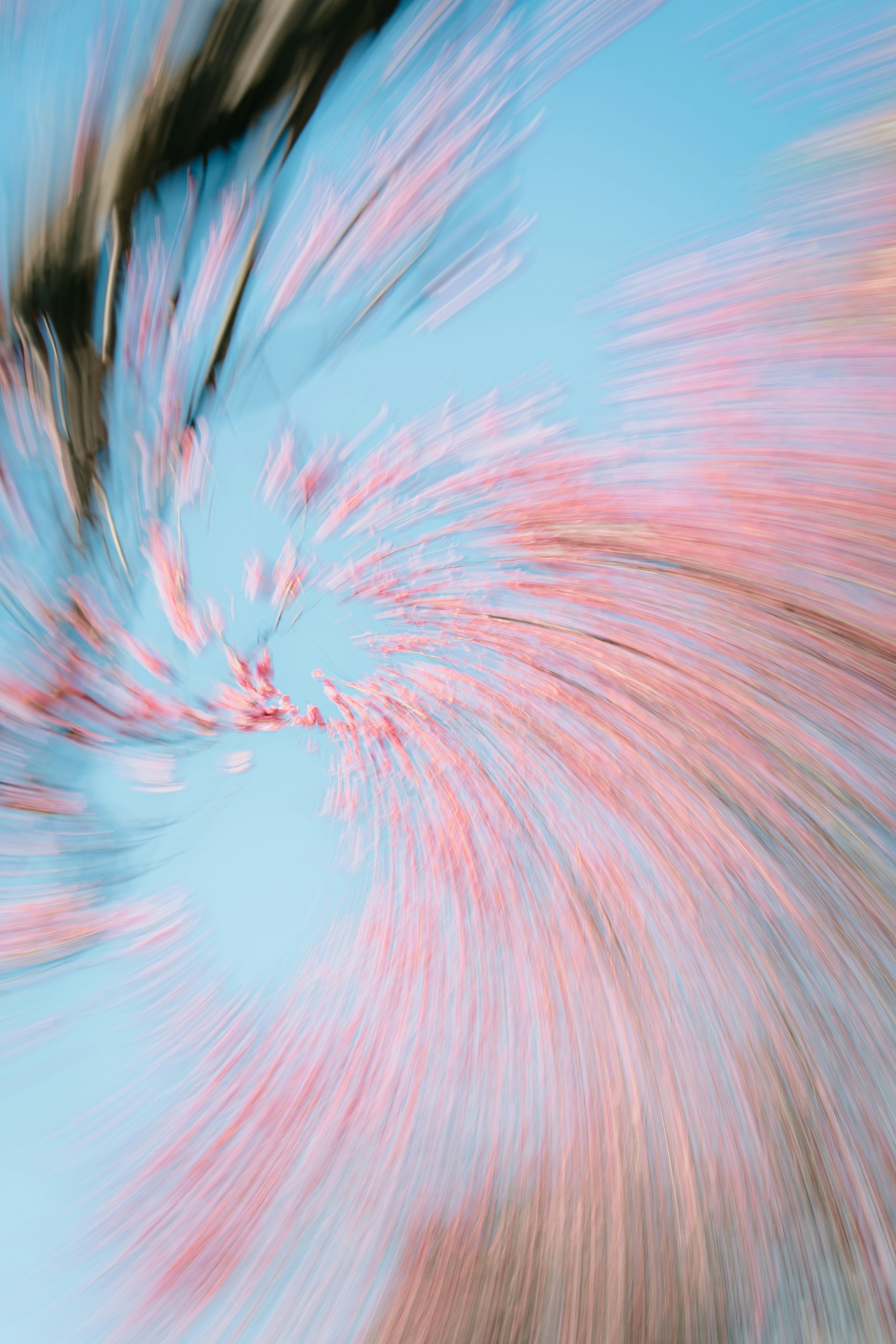 Photo by xiexianghua