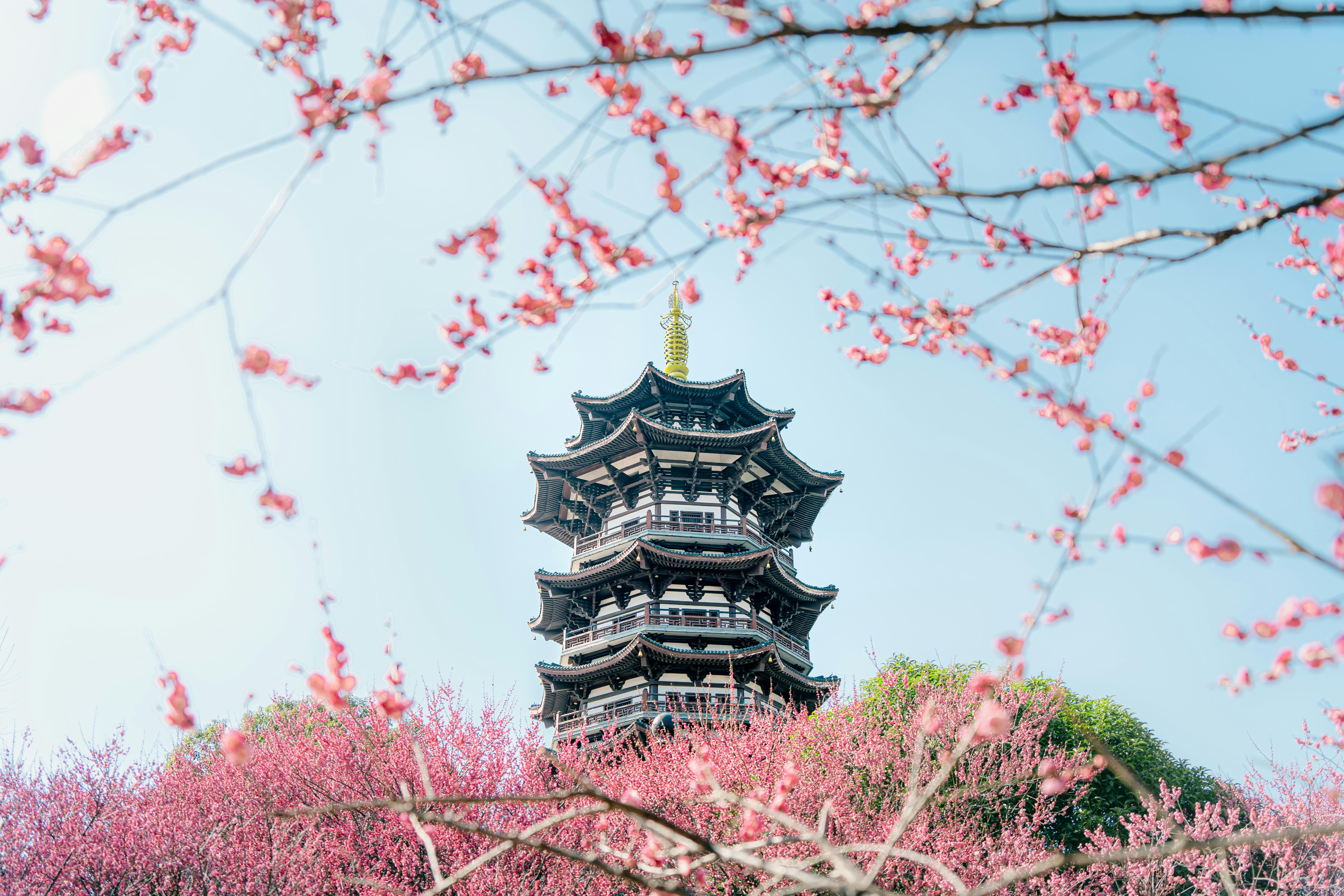 Photo by xiexianghua