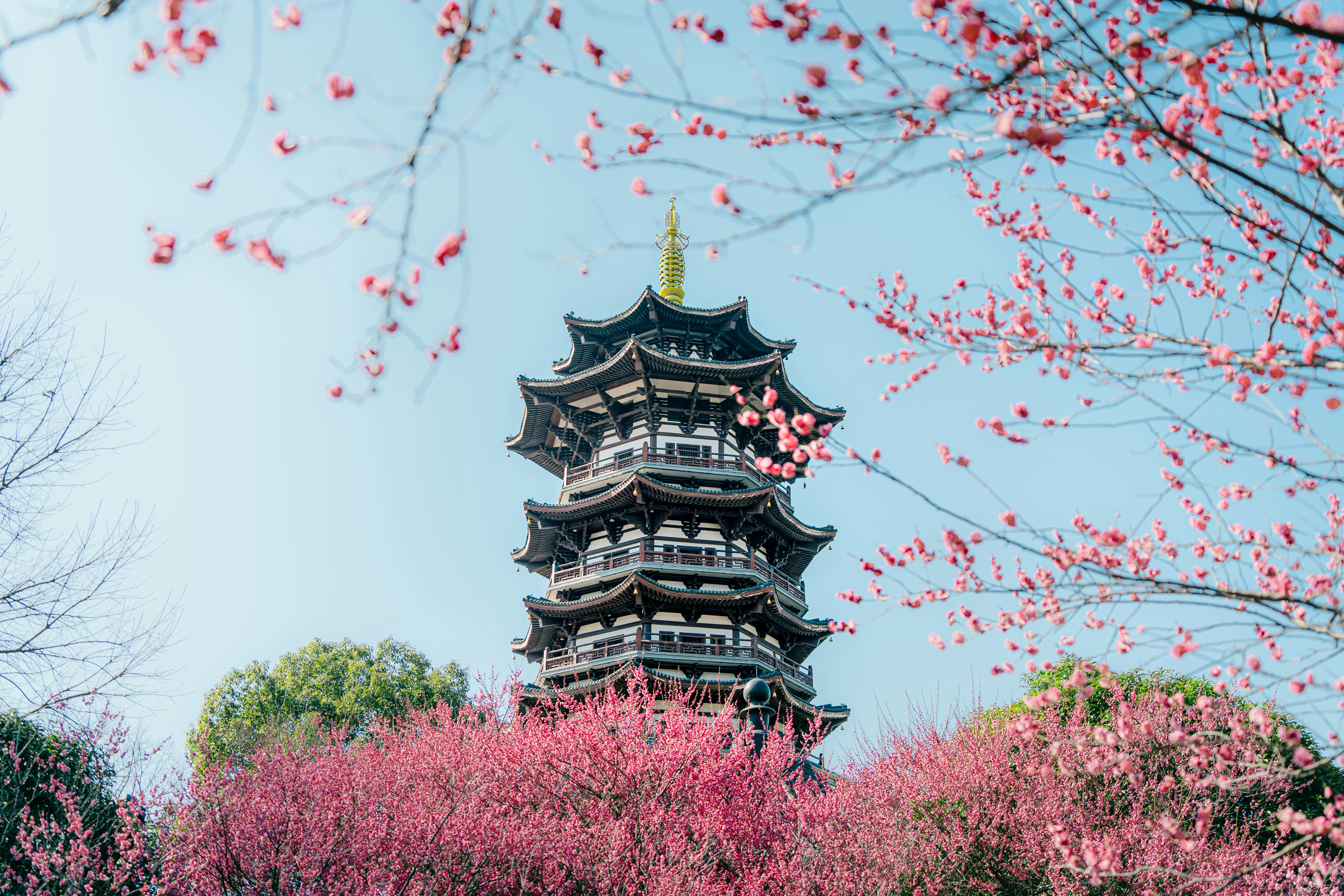 Photo by xiexianghua