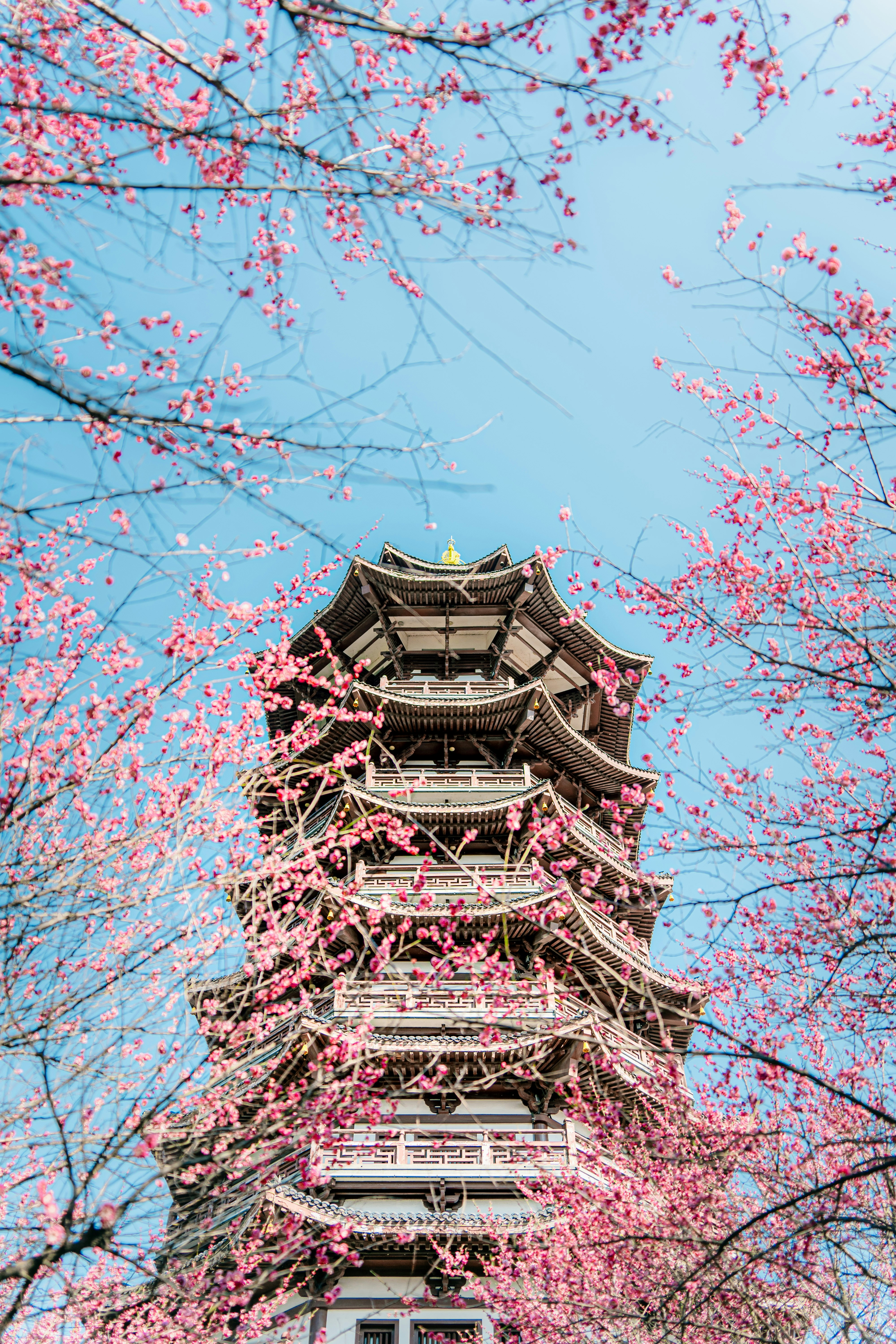 Photo by xiexianghua