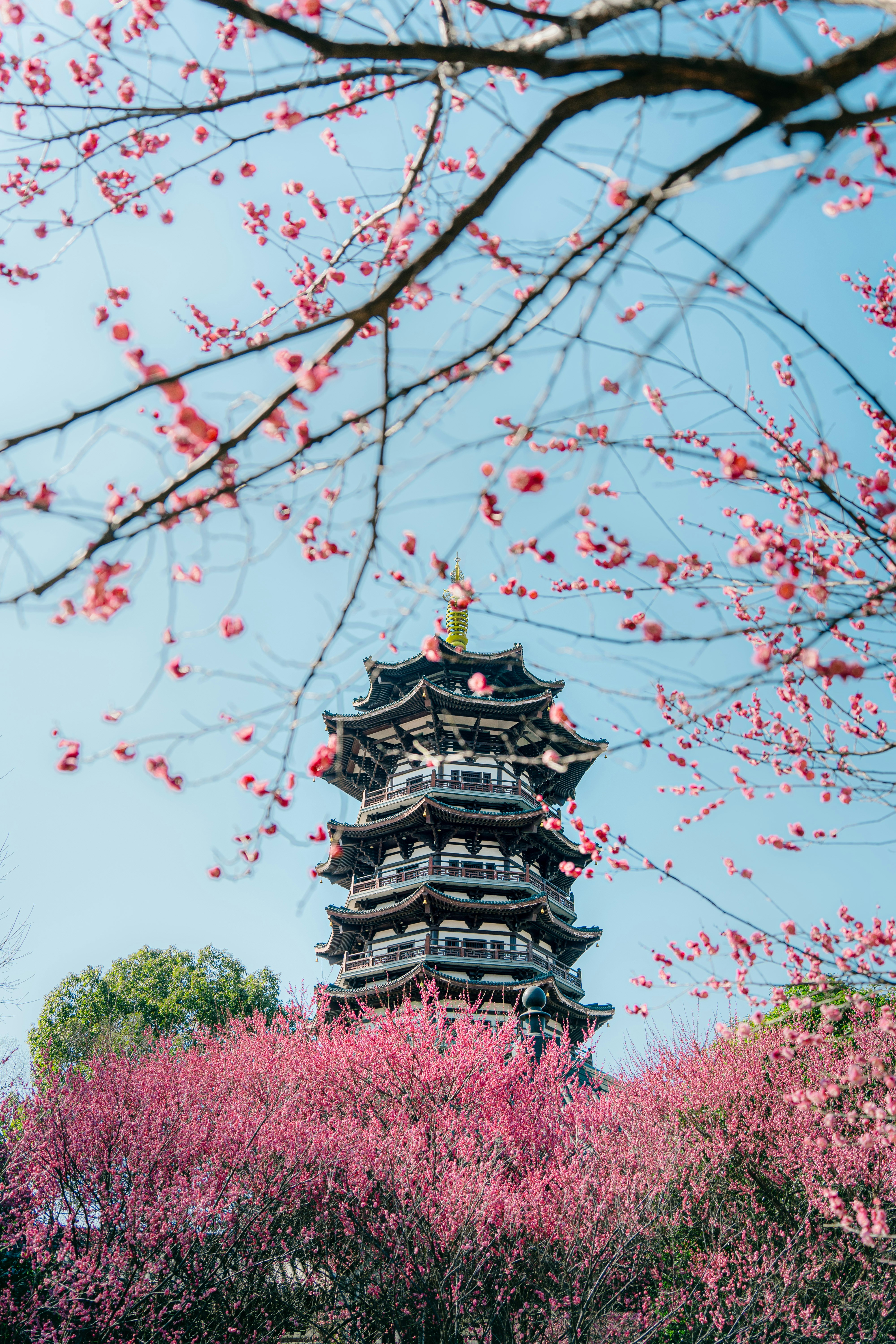 Photo by xiexianghua