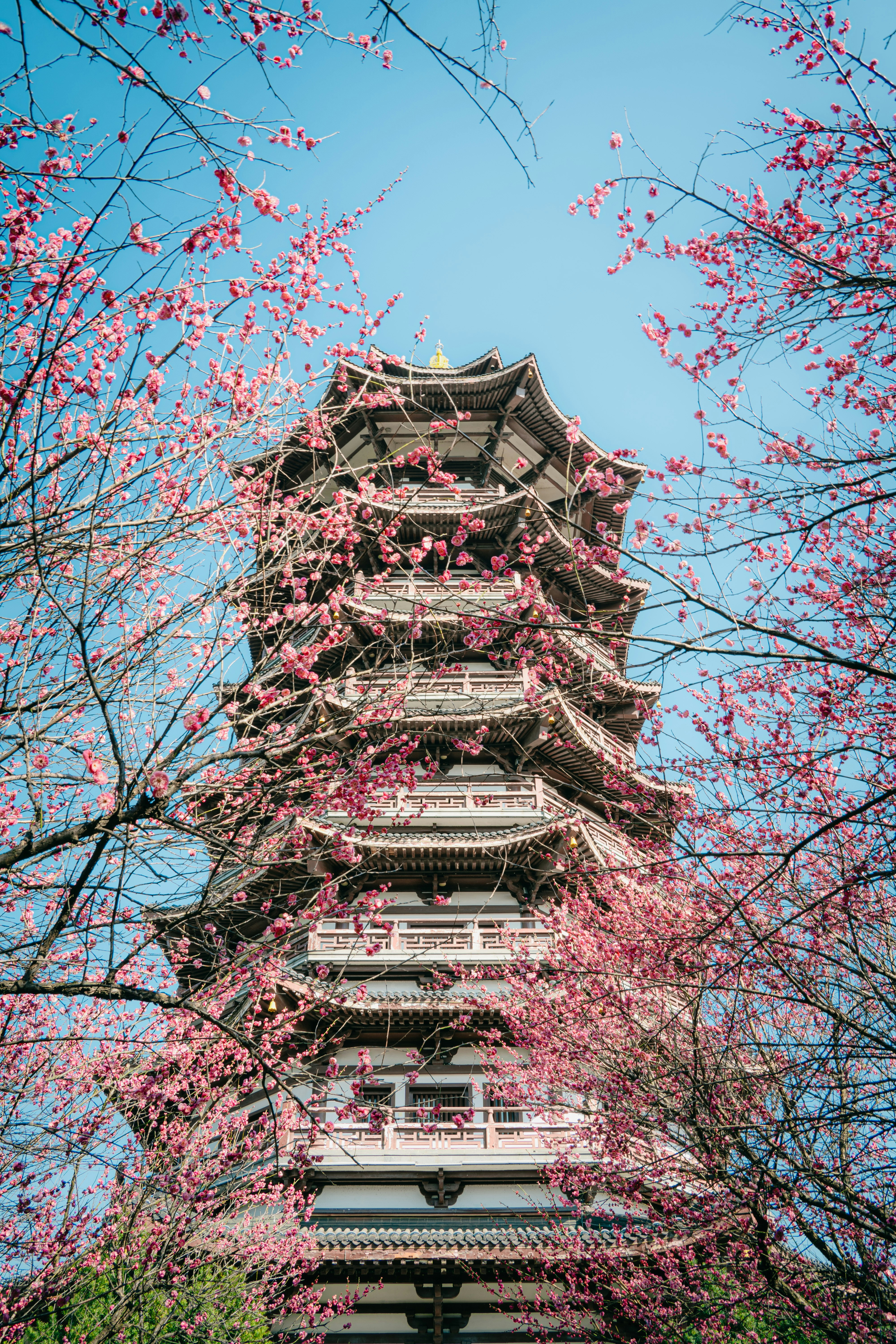 Photo by xiexianghua