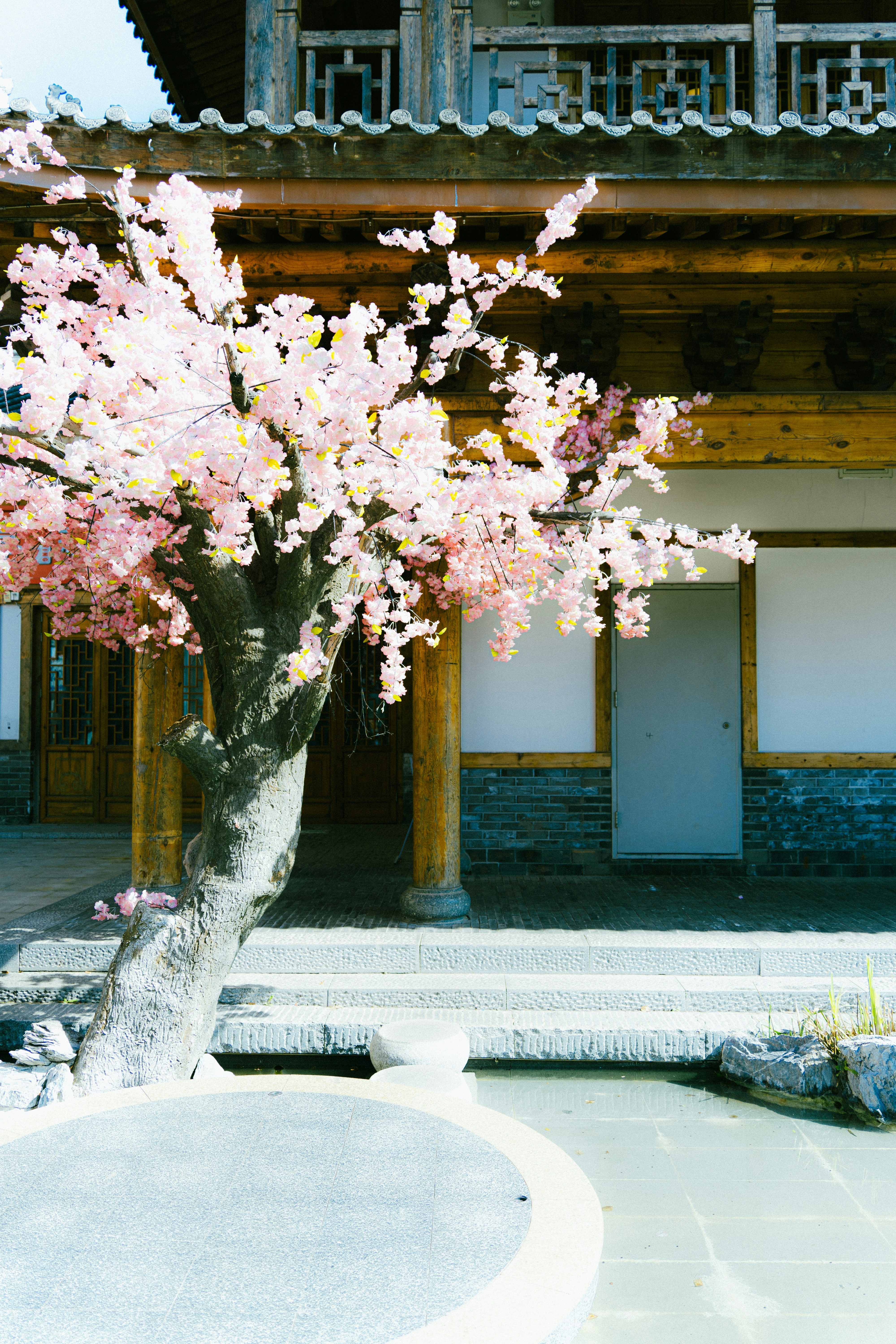 Photo by xiexianghua