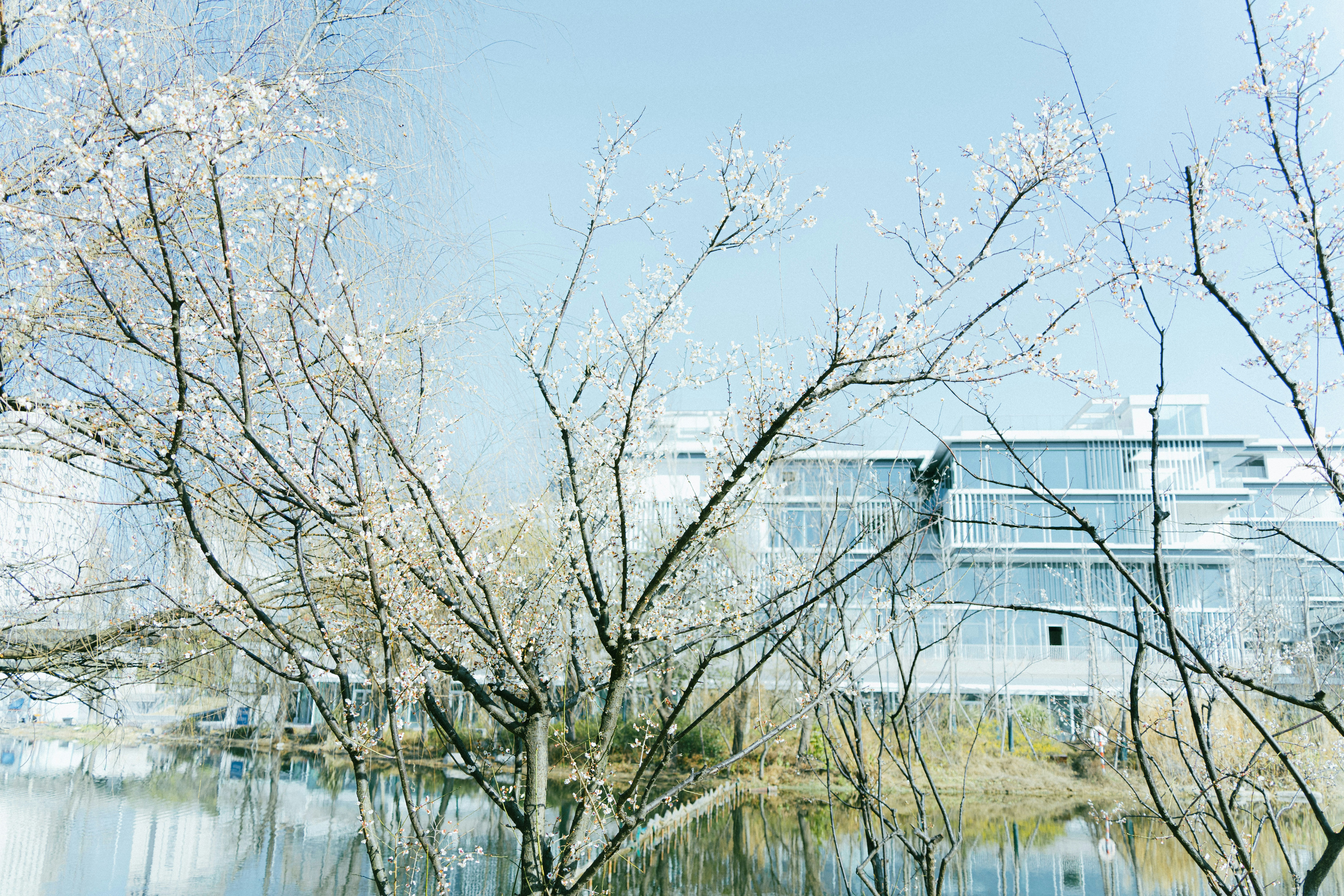 Photo by xiexianghua