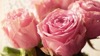 A bunch of pink roses sitting on top of a table