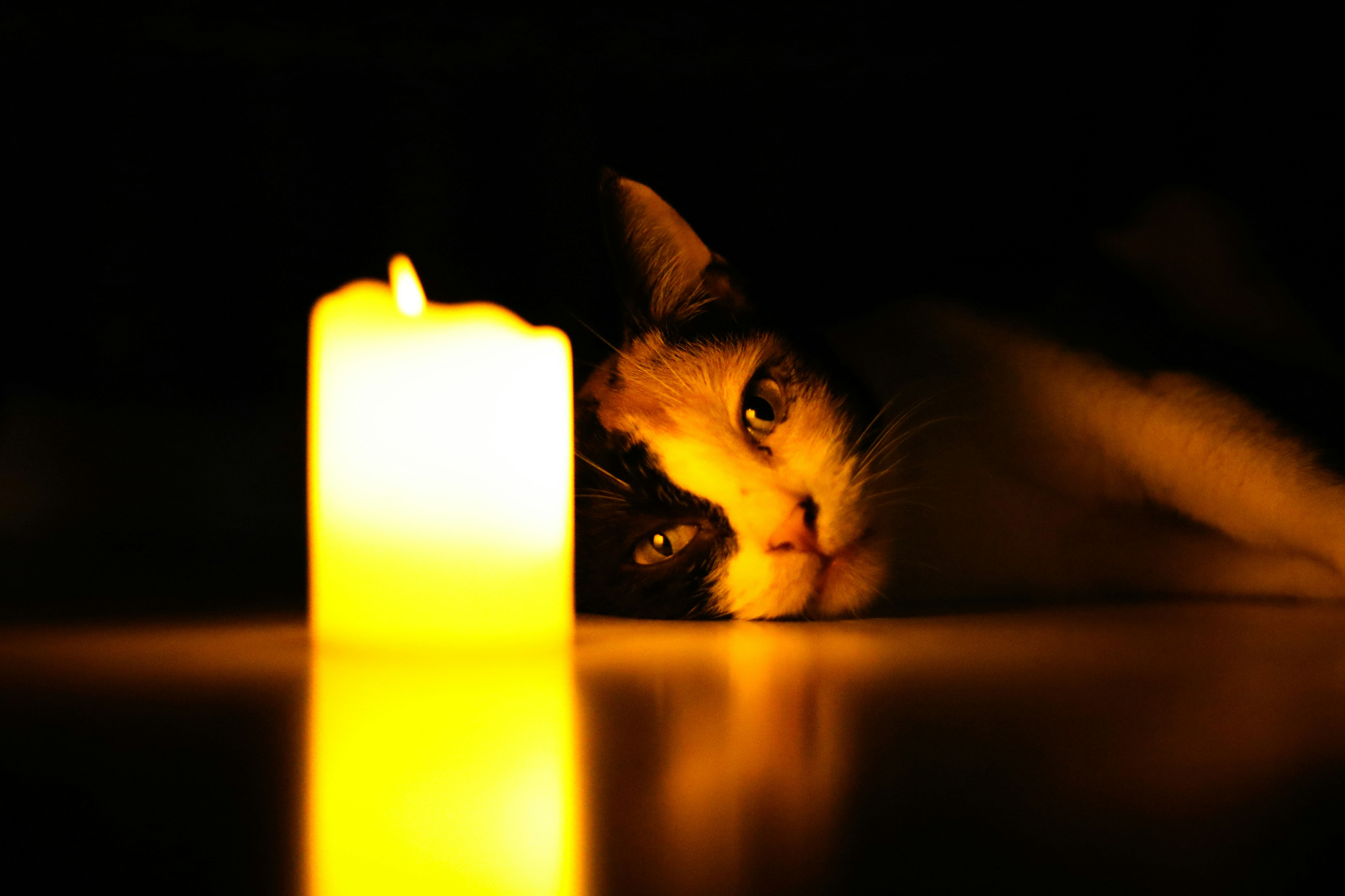 A cat laying on the floor next to a lit candle