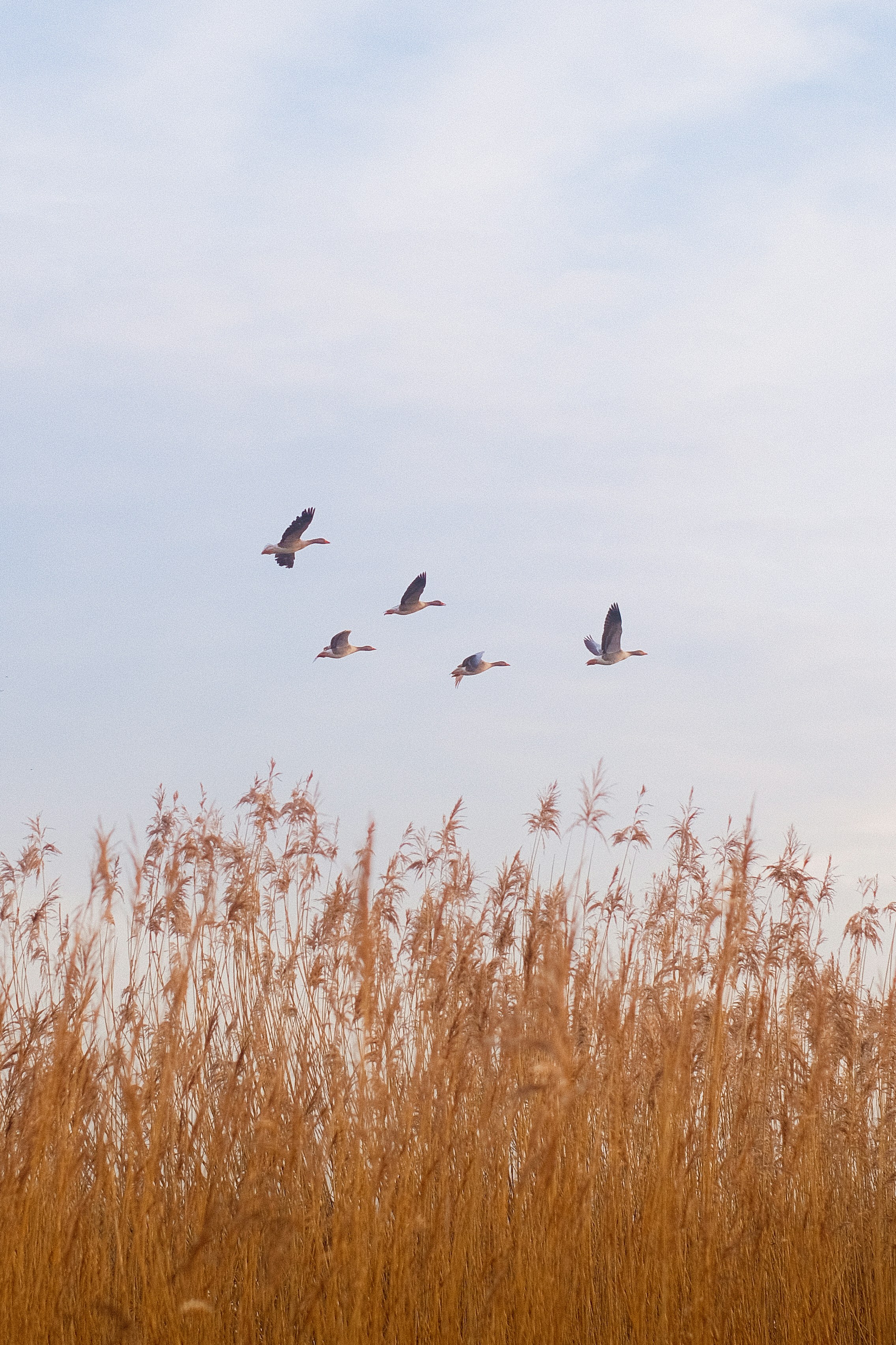 Photo by visualsbying