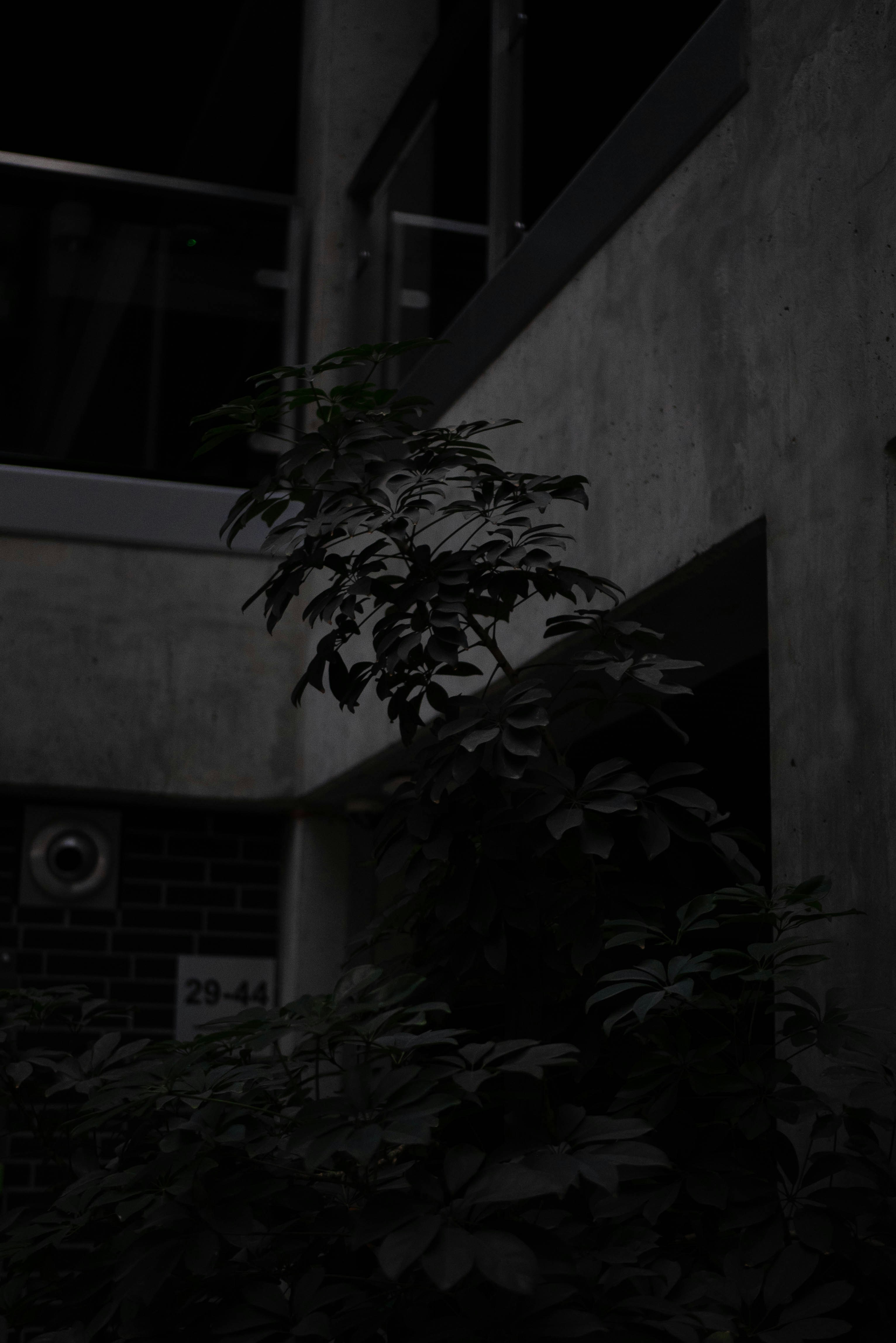 photo-1739111646713-26550bbaca62?ixid=M3wxMjA3fDB8MXxzZWFyY2h8MTR8fCVFMCVCOCU5QSVFMCVCOCVCMiVFMCVCOCU4NCVFMCVCOCVCMiVFMCVCOCVBMyVFMCVCOSU4OCVFMCVCOCVCMiUyMCVFMCVCOCVBRCVFMCVCOCVBRCVFMCVCOCU5OSVFMCVCOSU4NCVFMCVCOCVBNSVFMCVCOCU5OSVFMCVCOSU4Q3xlbnwwfHx8fDE3NTY5OTg5NDV8MA\u0026ixlib=rb-4.1.0