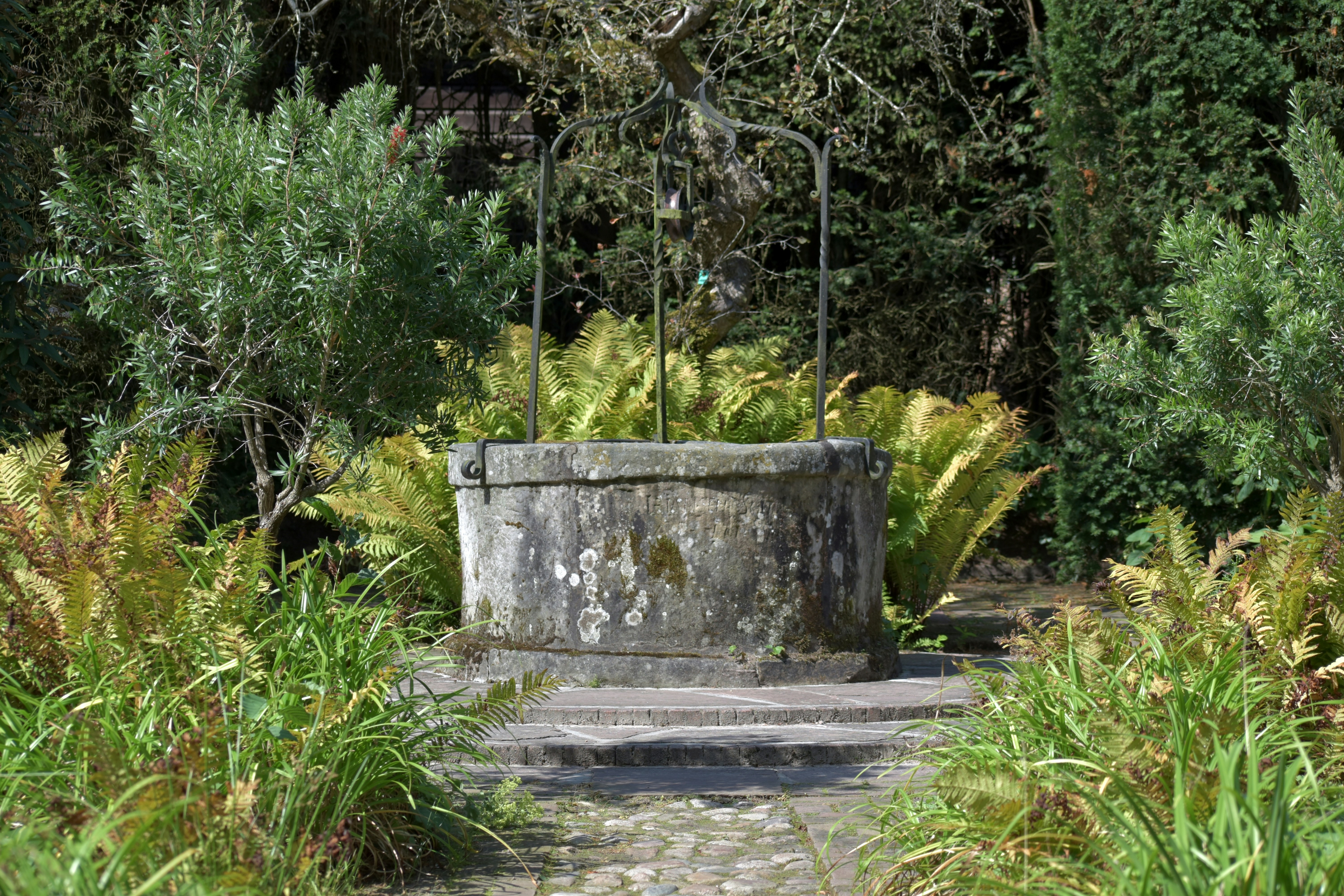 There is a cement structure in the middle of a garden
