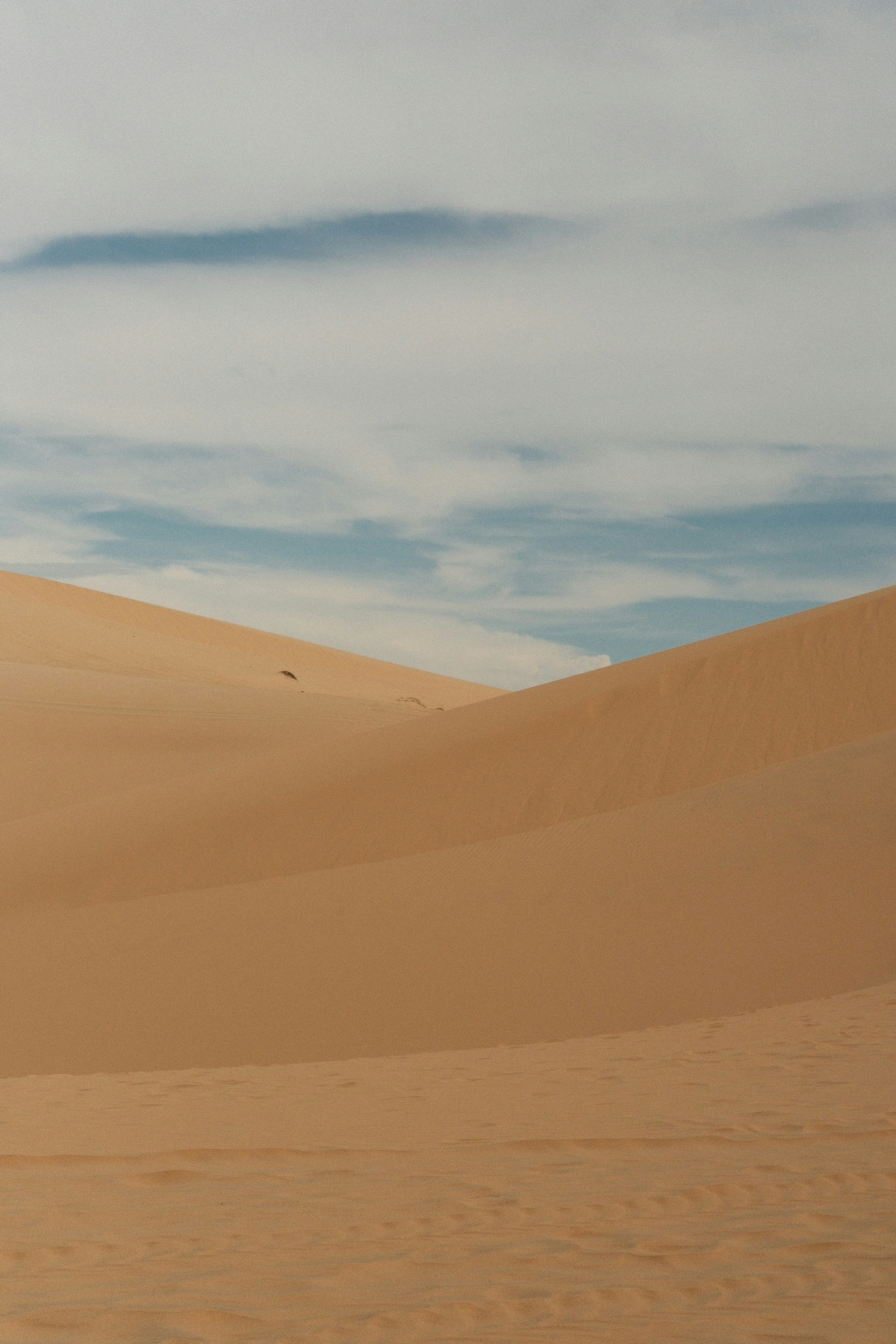 Photo by paopattarapol