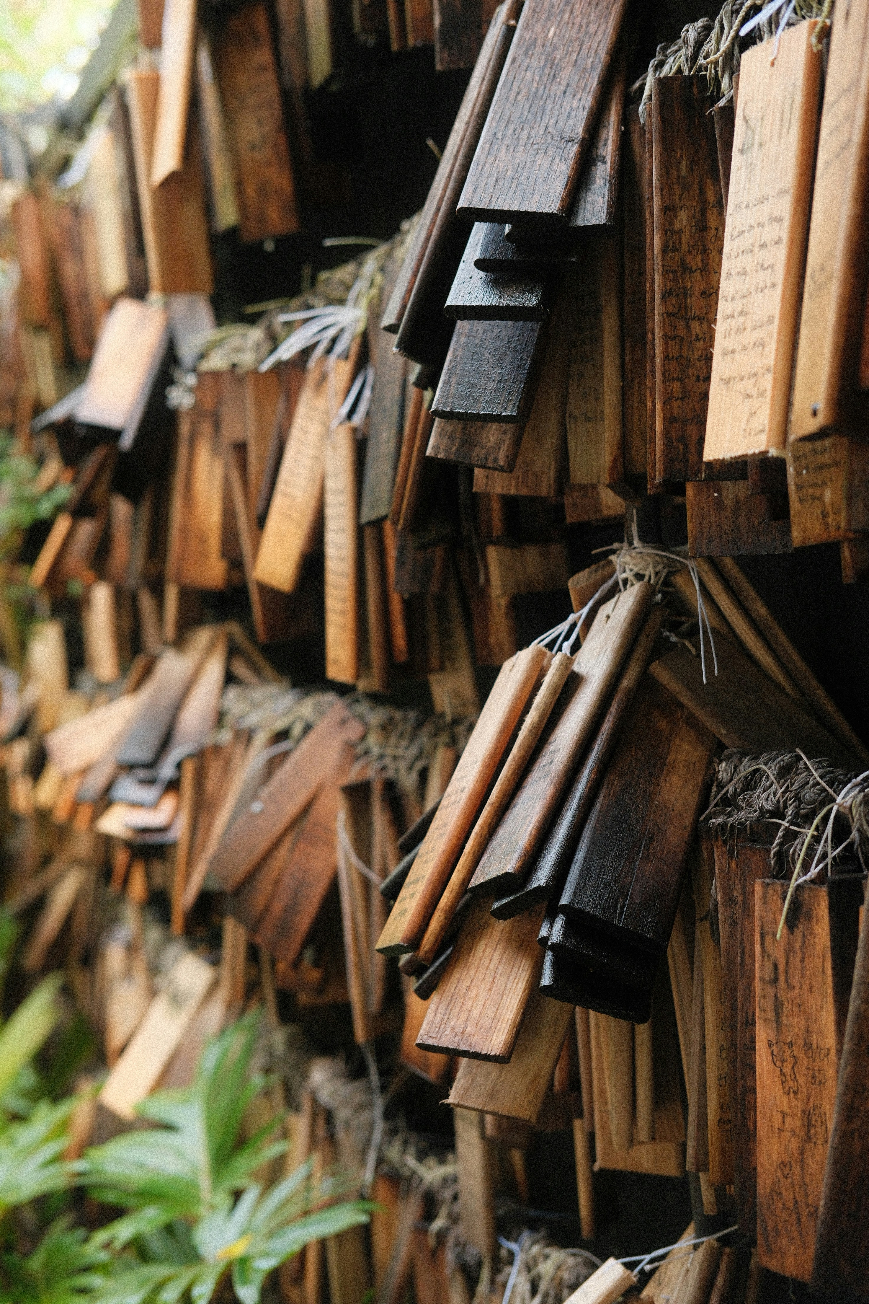 Photo by paopattarapol