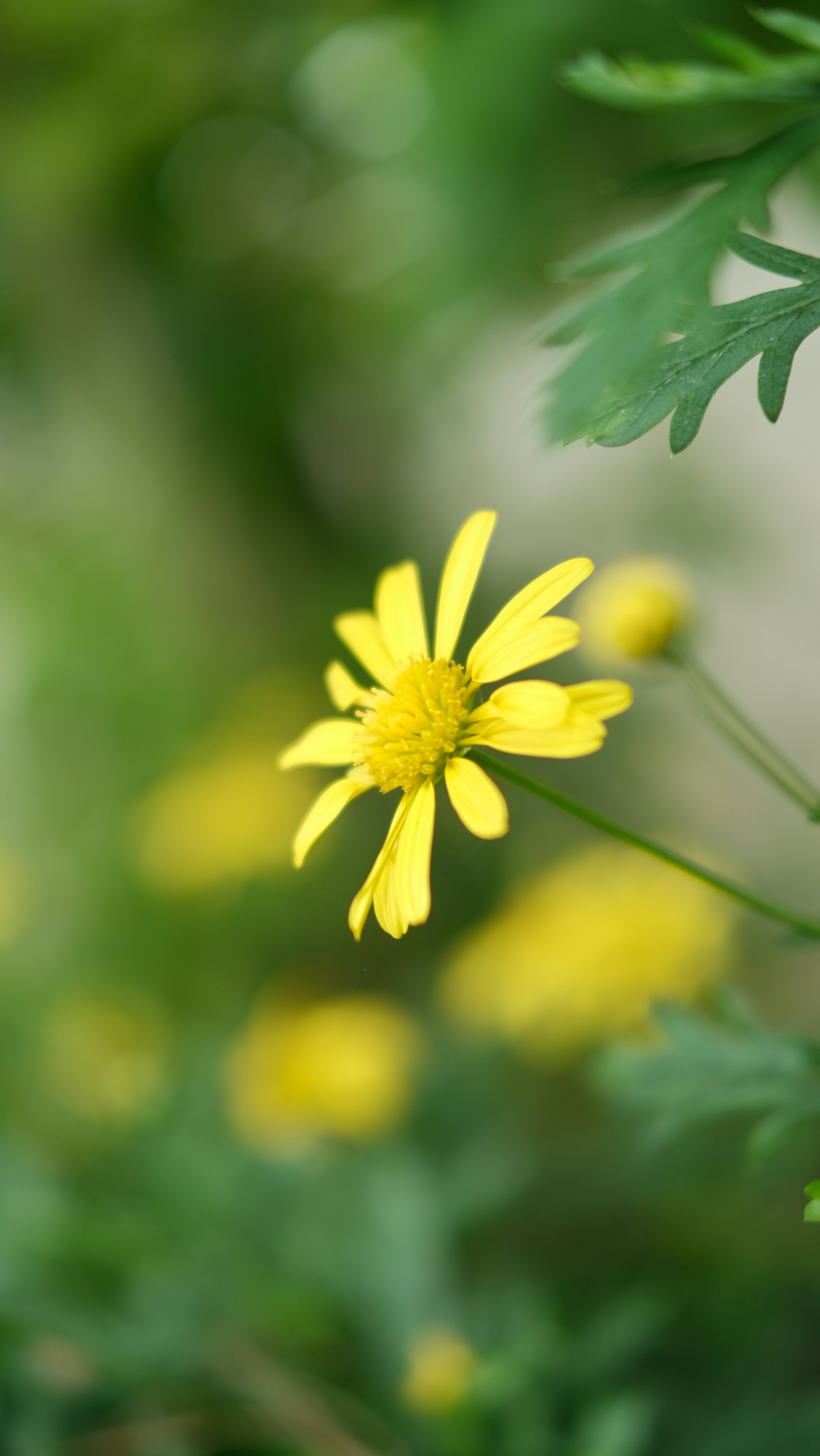 Photo by paopattarapol