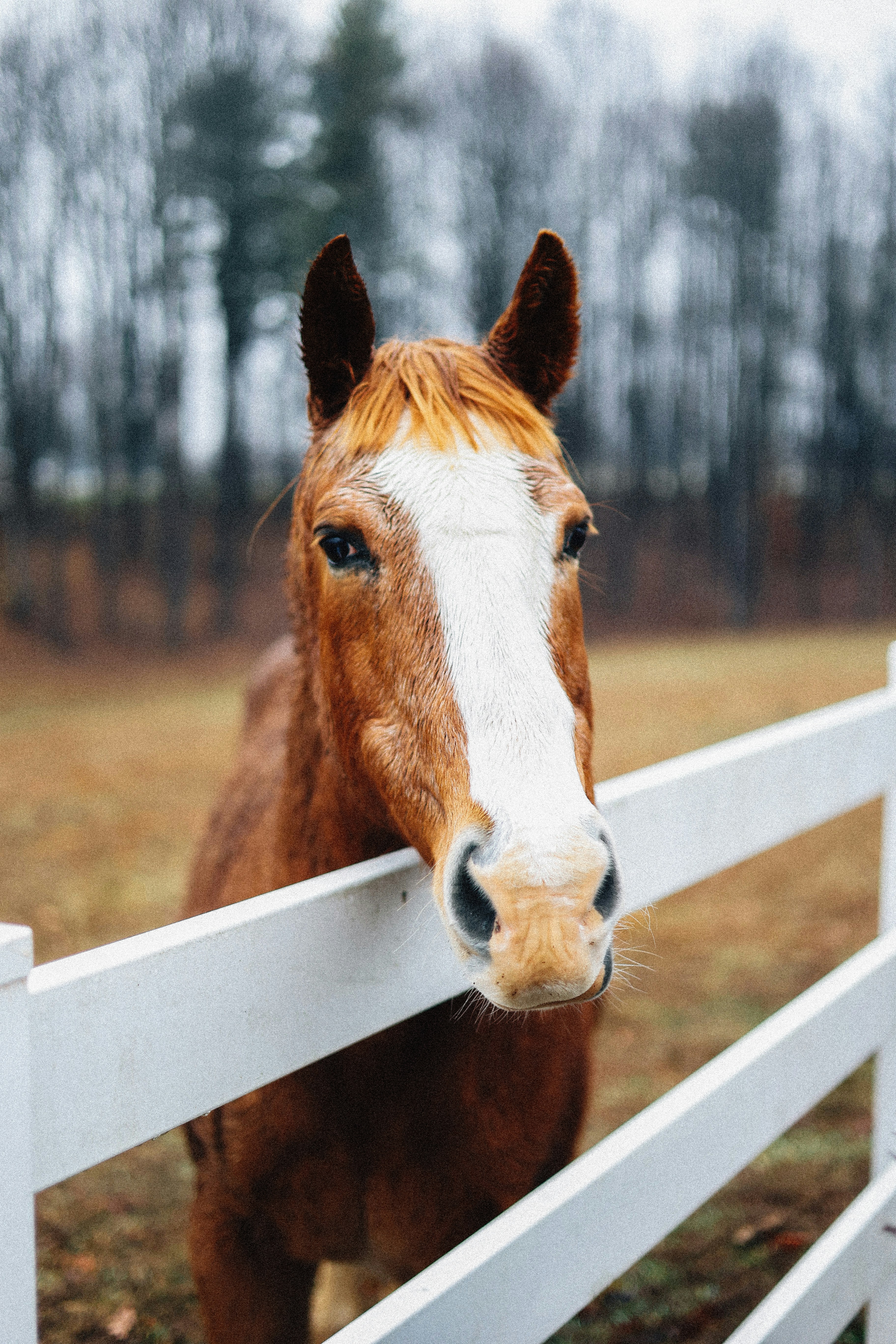 Photo by brookebalentine