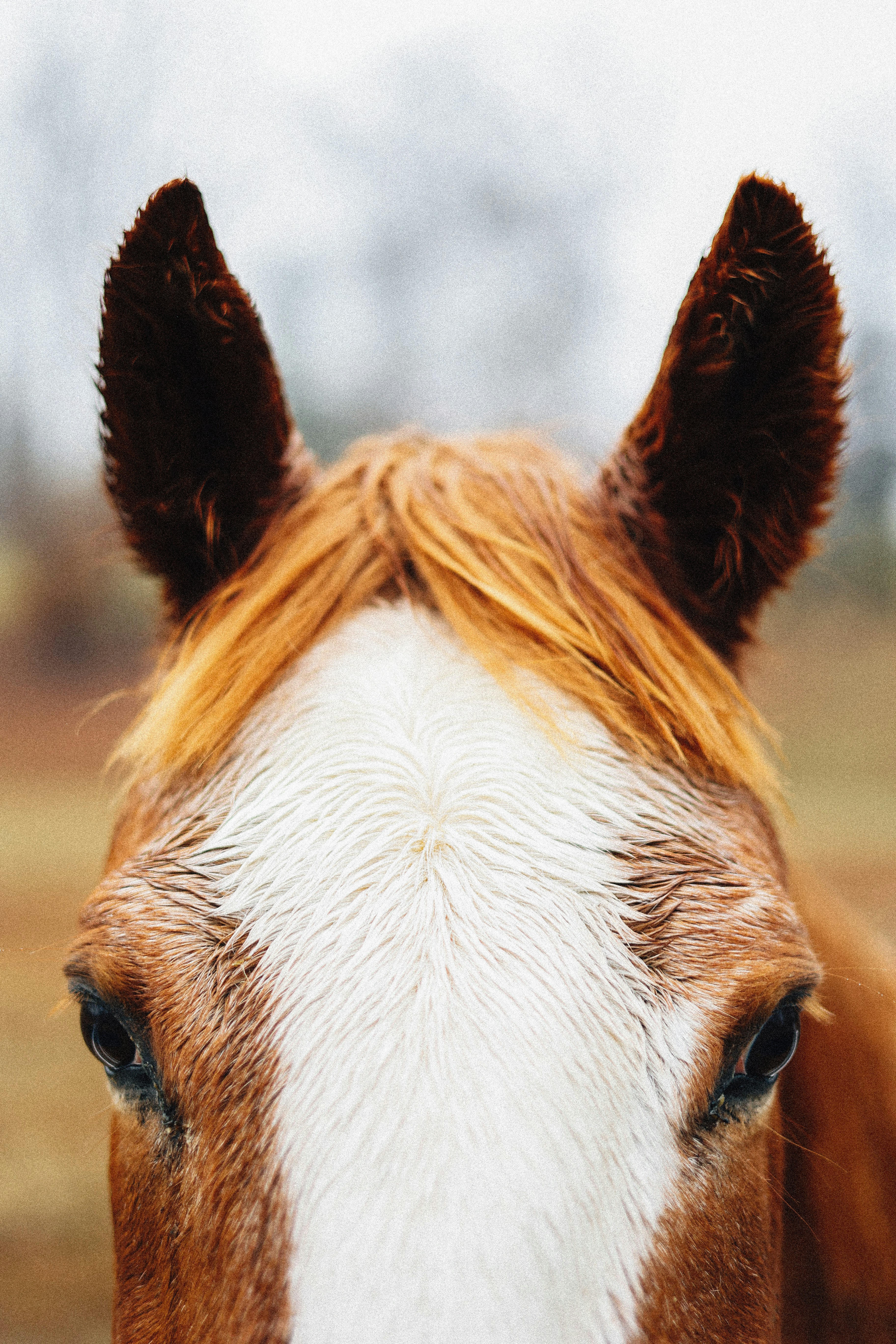 Photo by brookebalentine