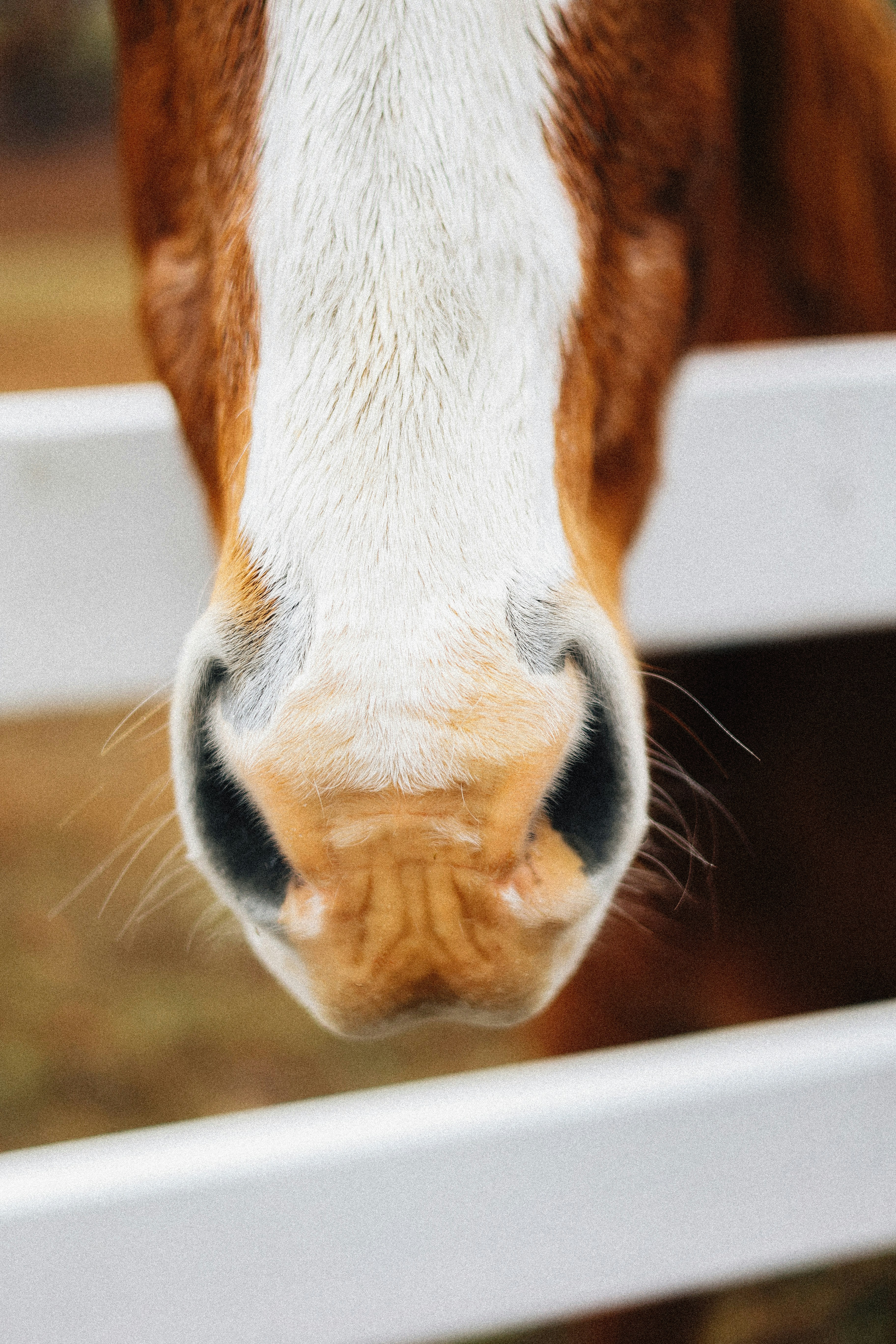 Photo by brookebalentine