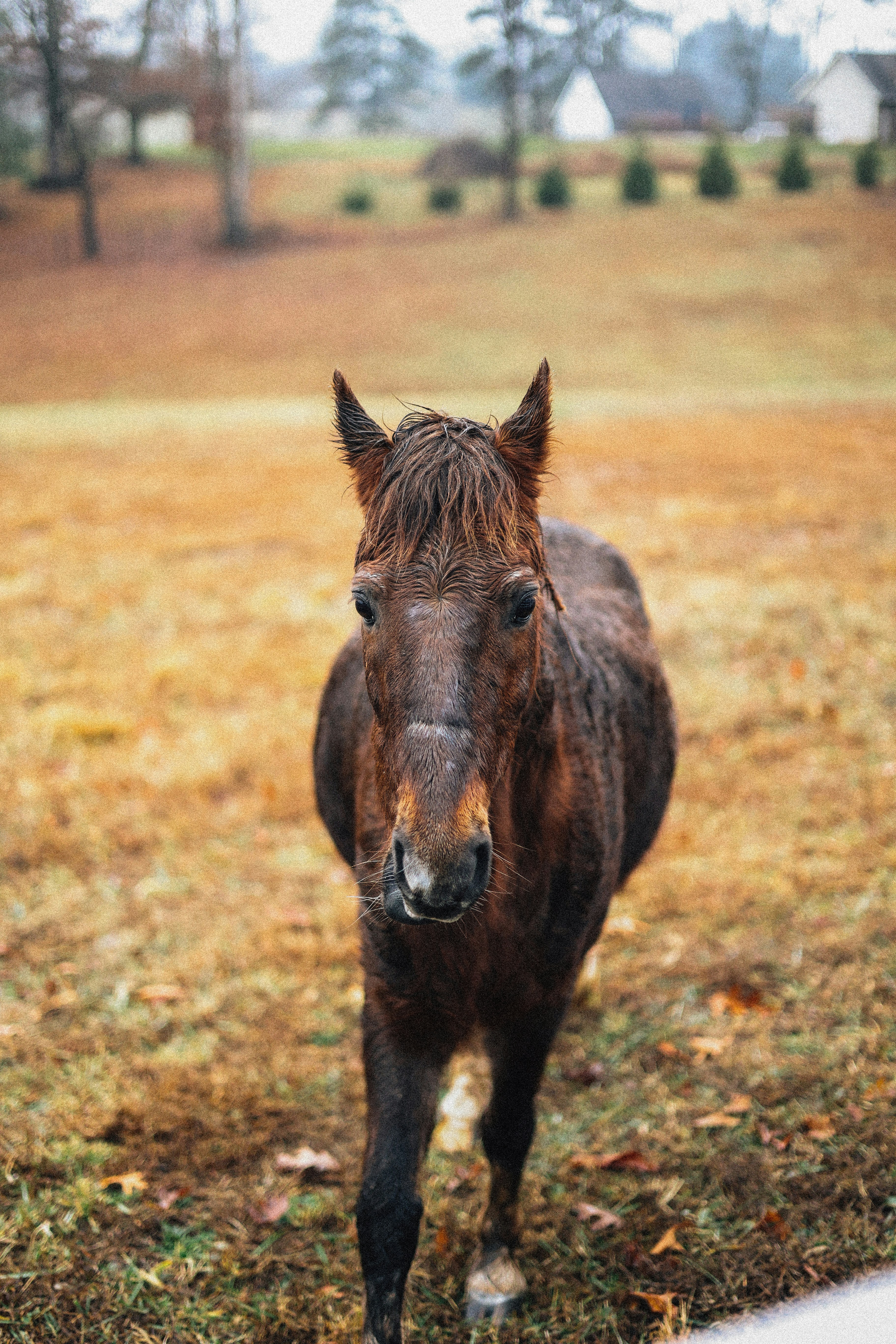 Photo by brookebalentine