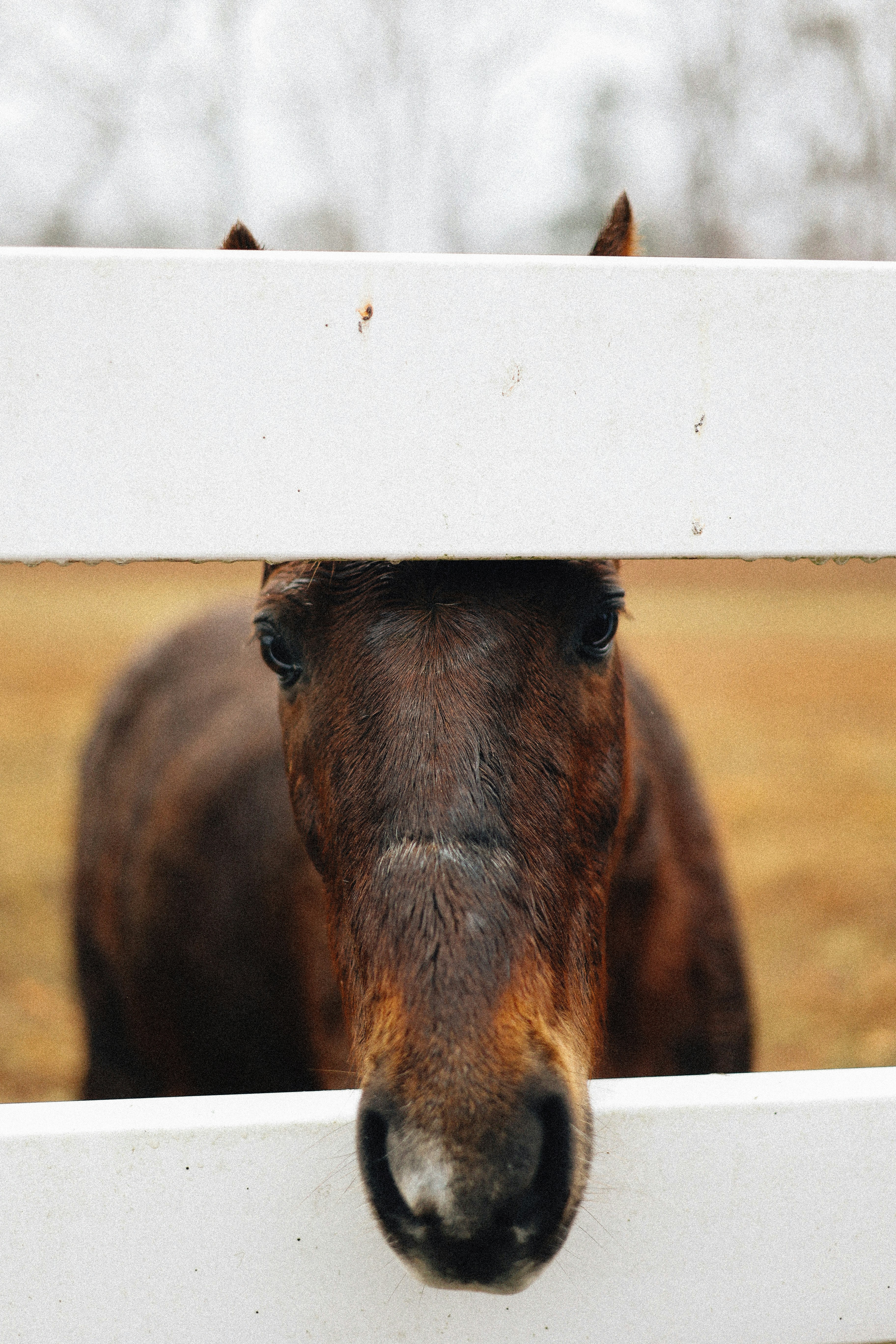 Photo by brookebalentine