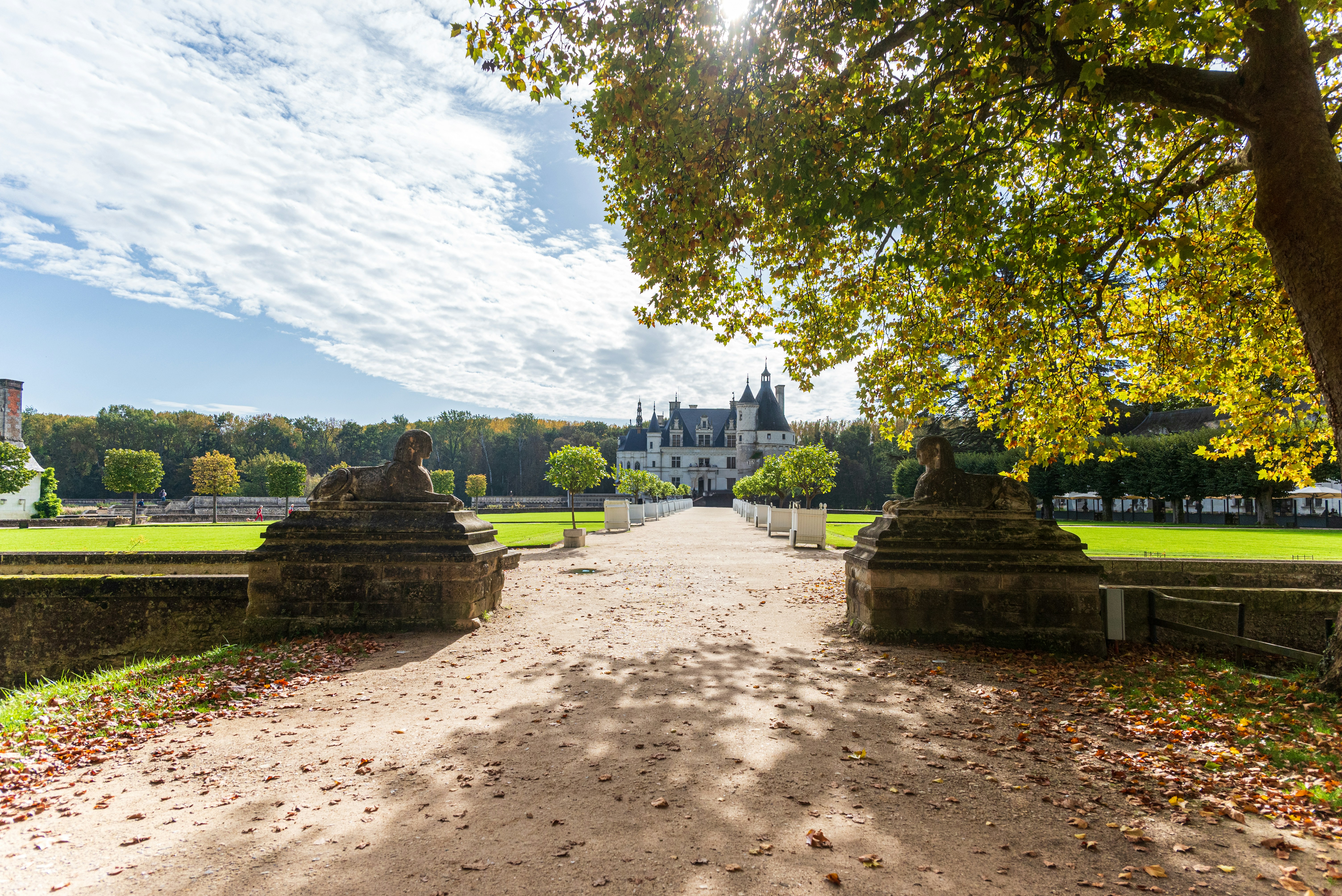 A dirt road with trees and a building in the background