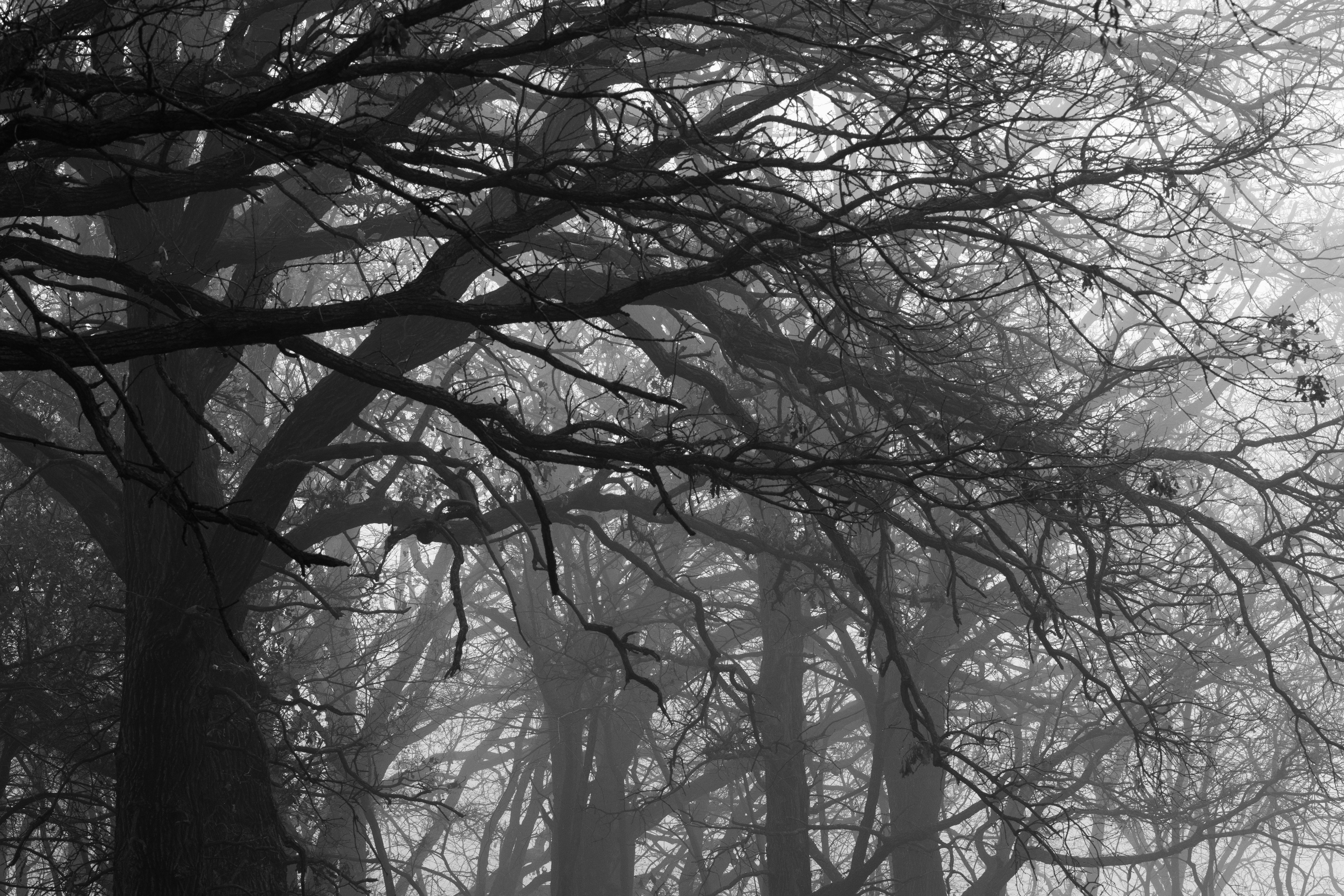 Photo by brandonstoll