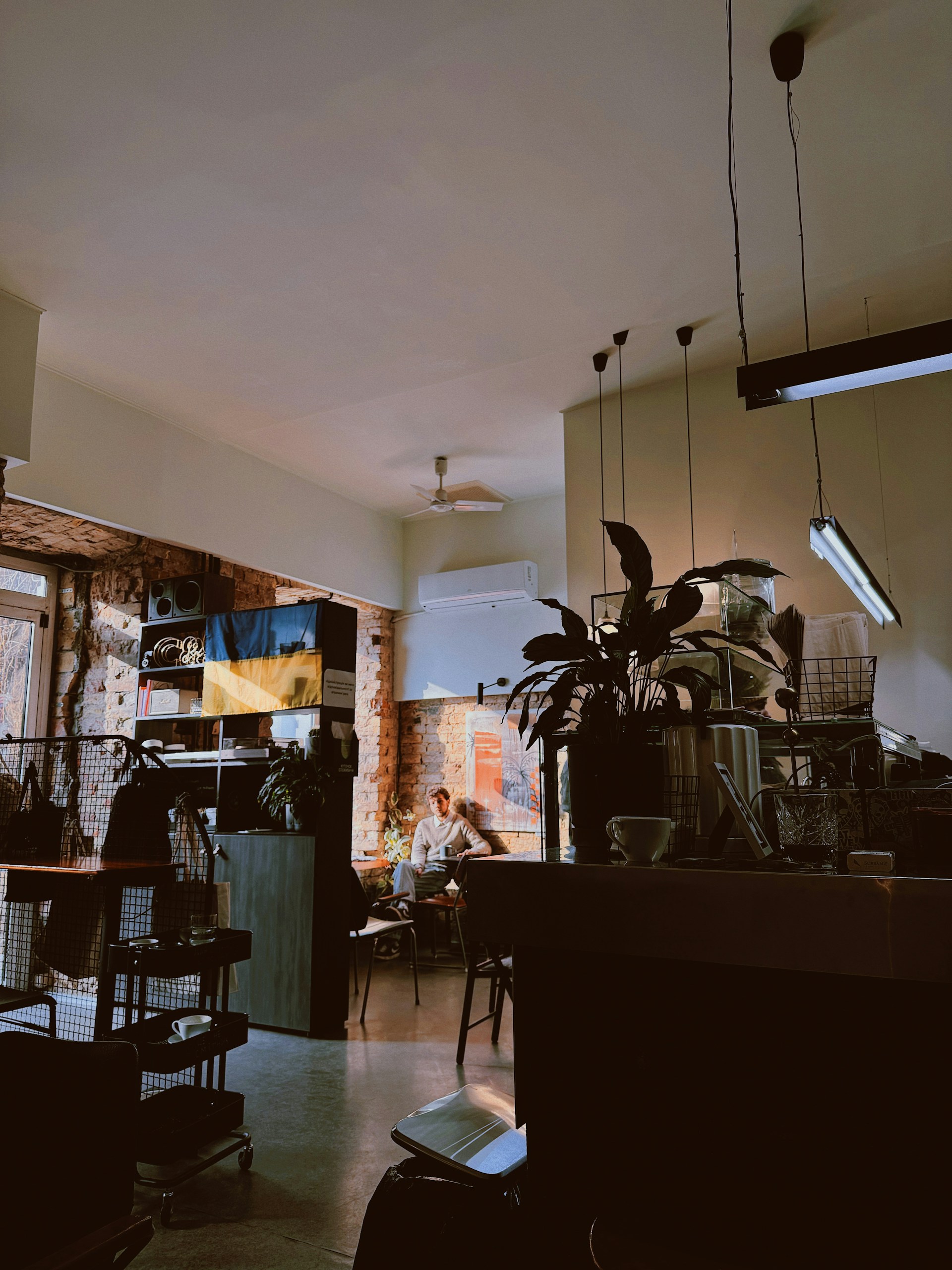 A room filled with lots of furniture and plants