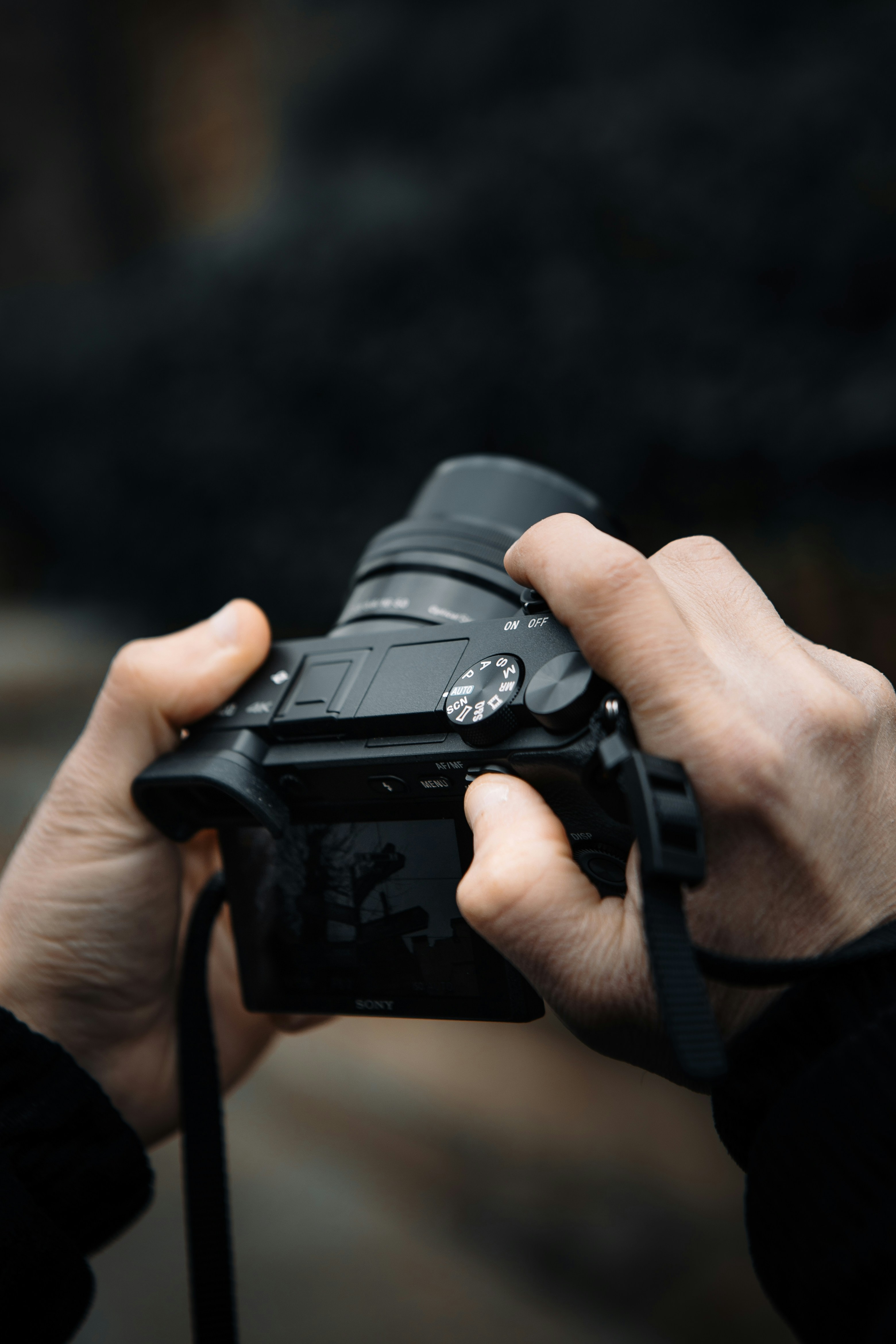 Photo by photoman990