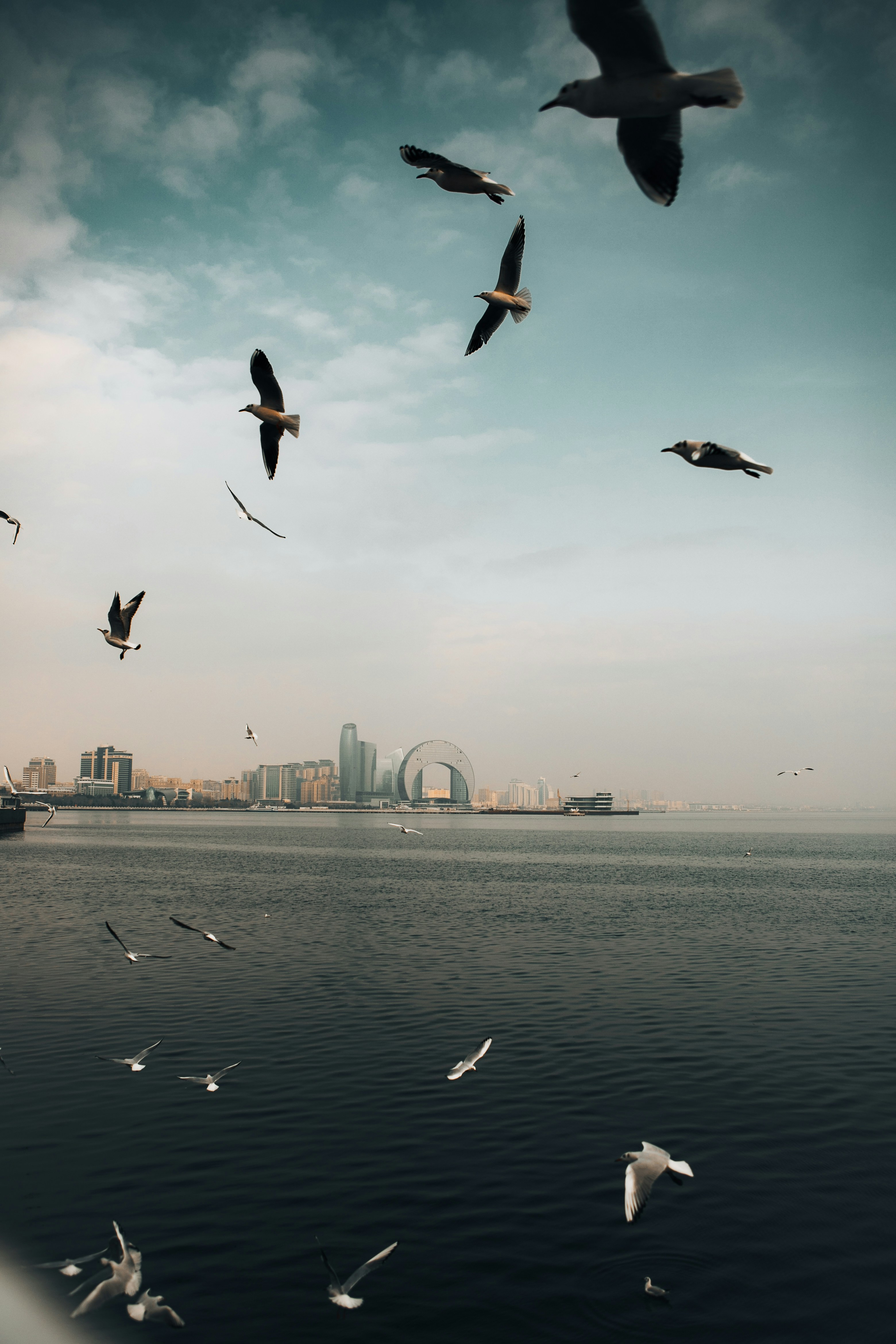 Photo by photoman990