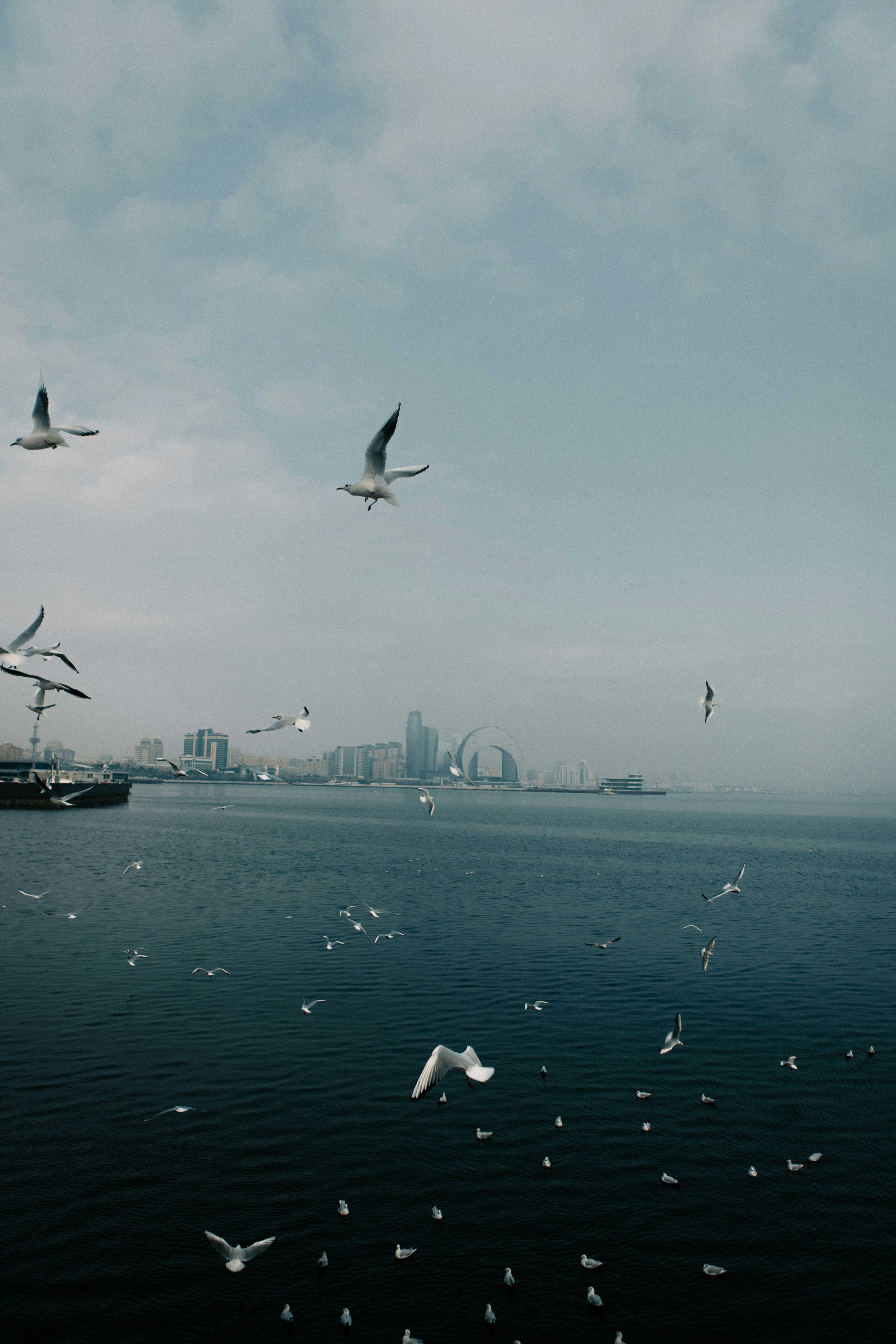 Photo by photoman990