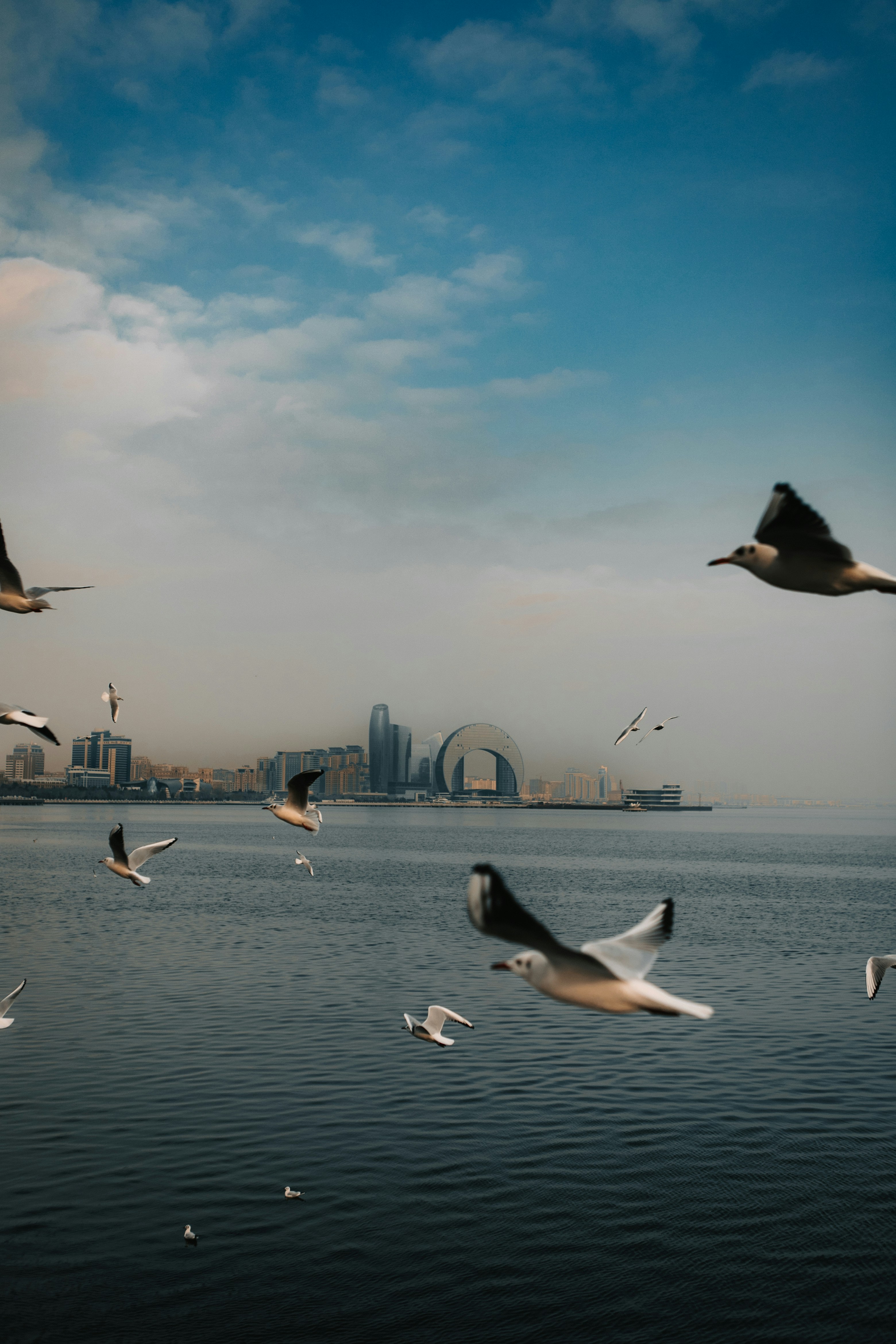 Photo by photoman990