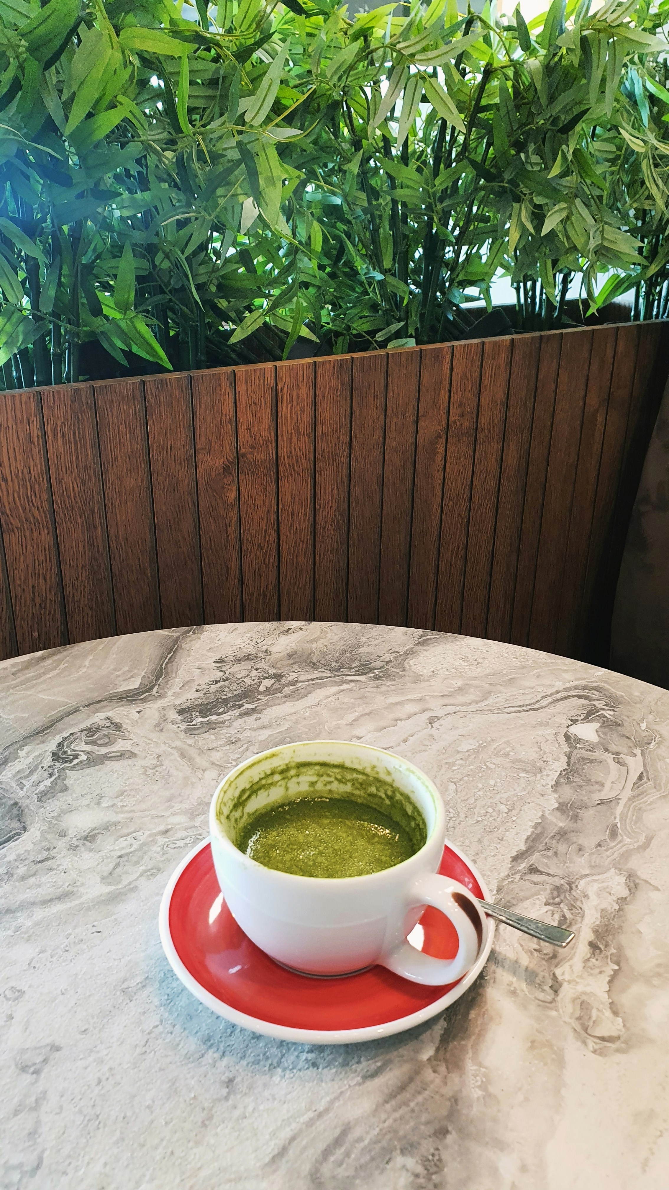 Una tazza di tè verde su un piattino rosso