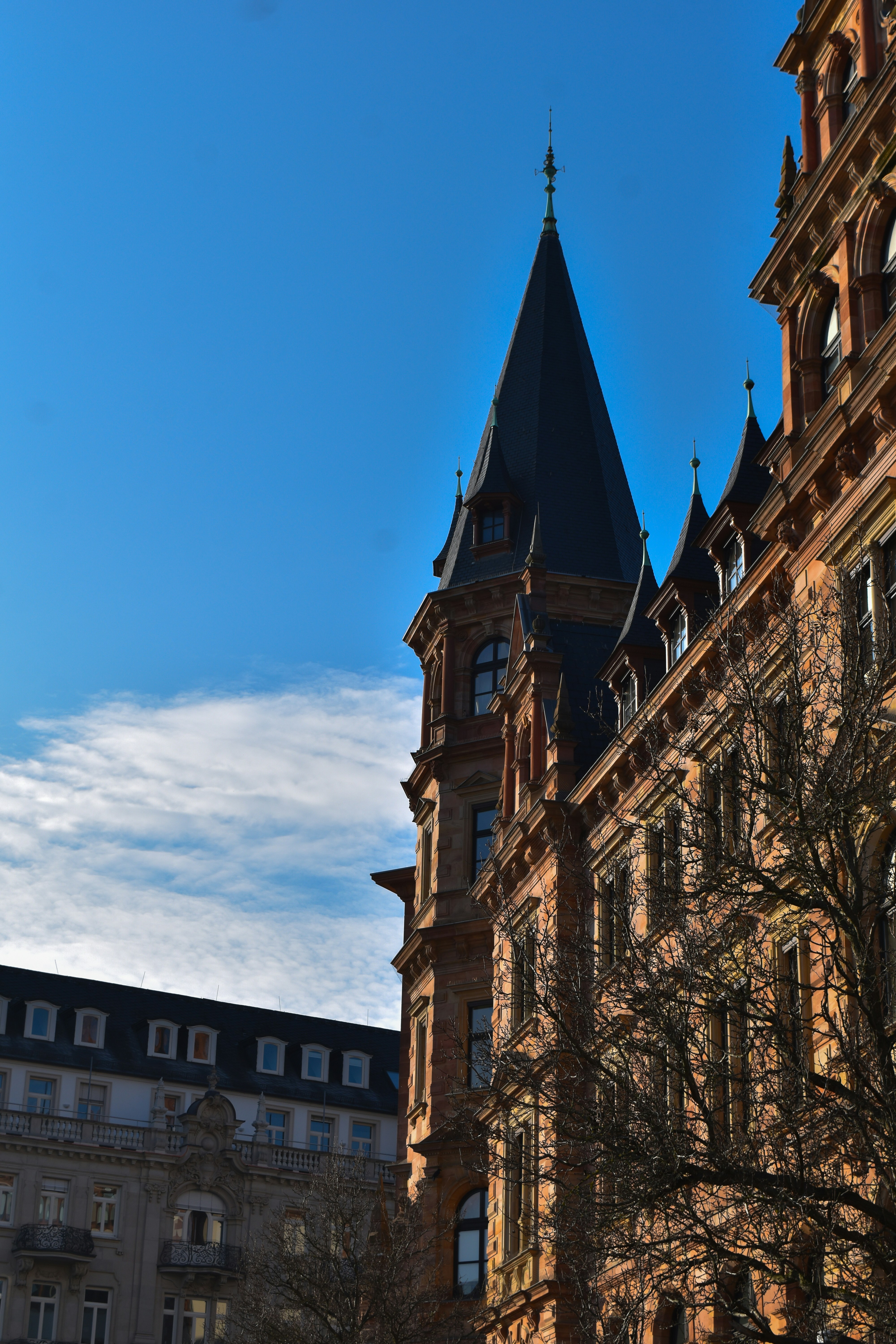 Photo by ahmed_sl___