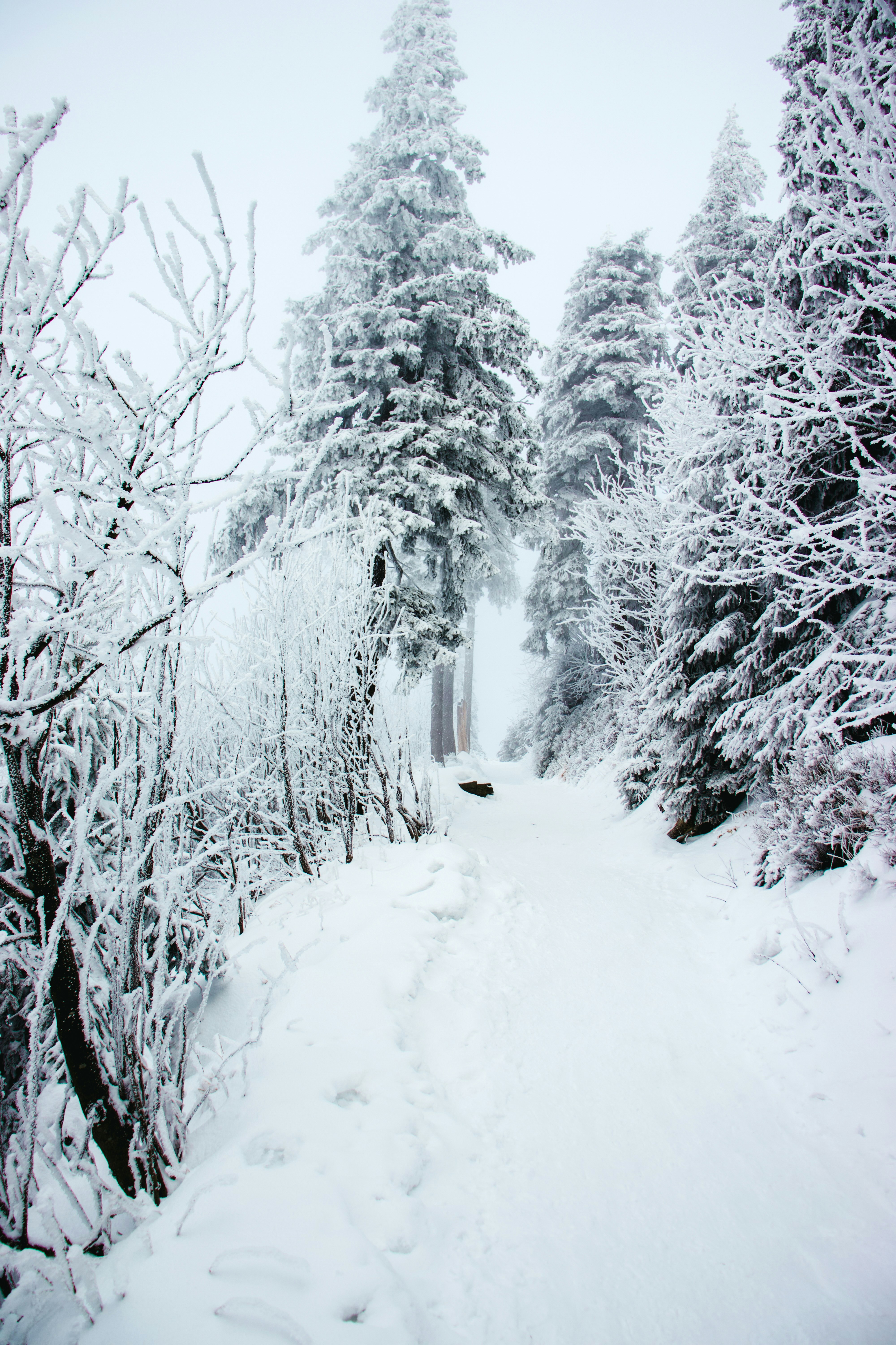 Photo by jakub_neskora