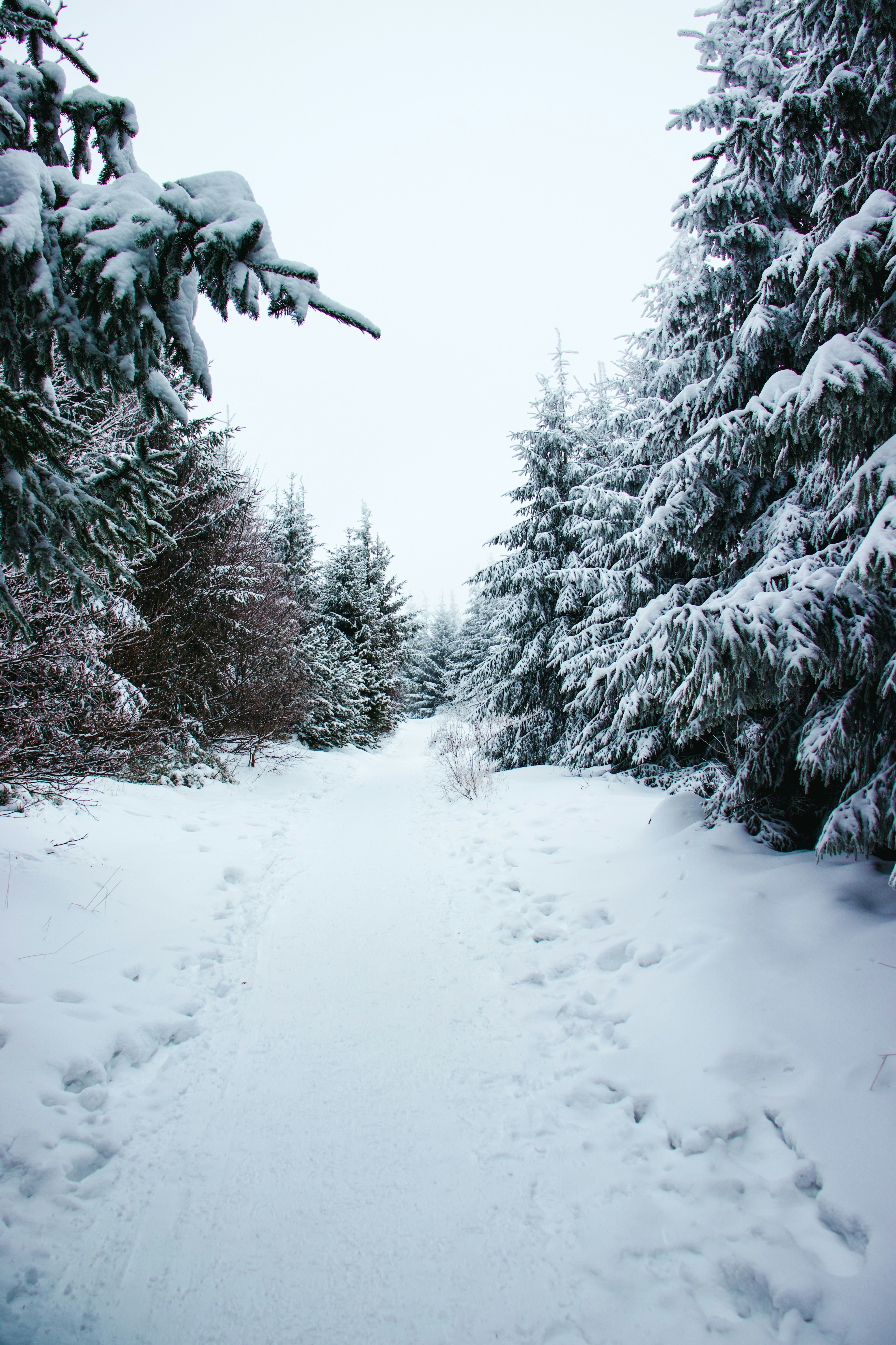 Photo by jakub_neskora