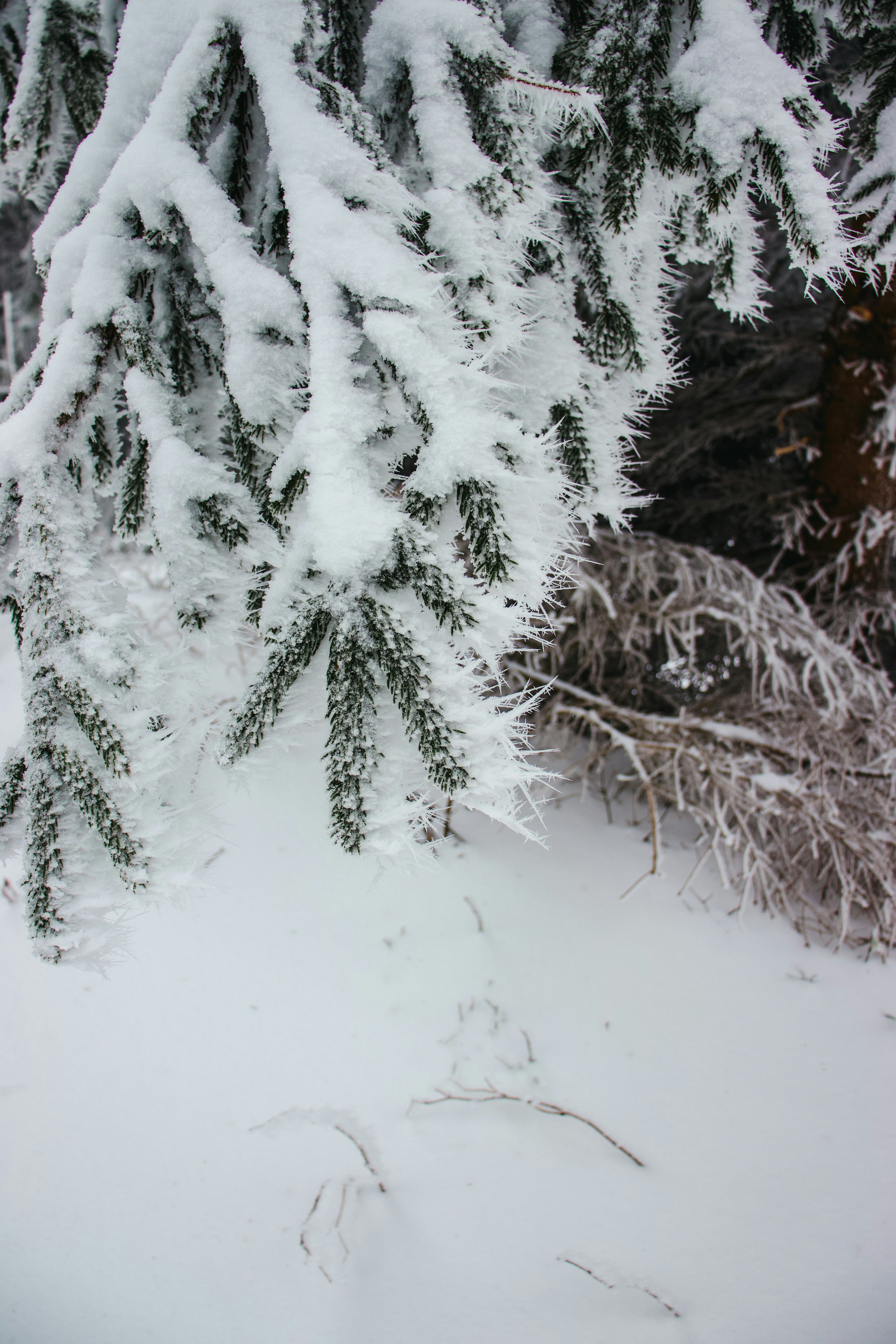 Photo by jakub_neskora