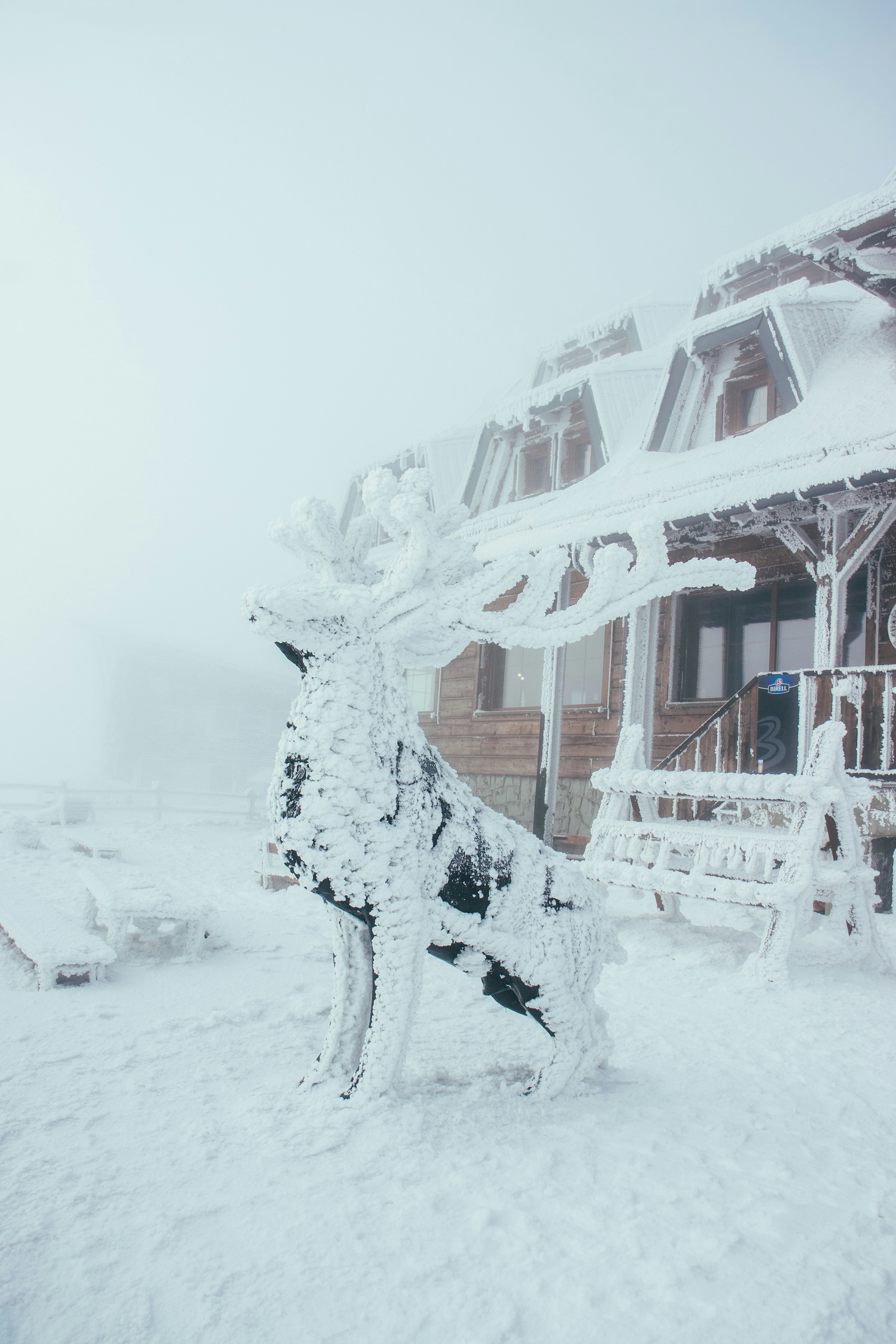 Photo by jakub_neskora