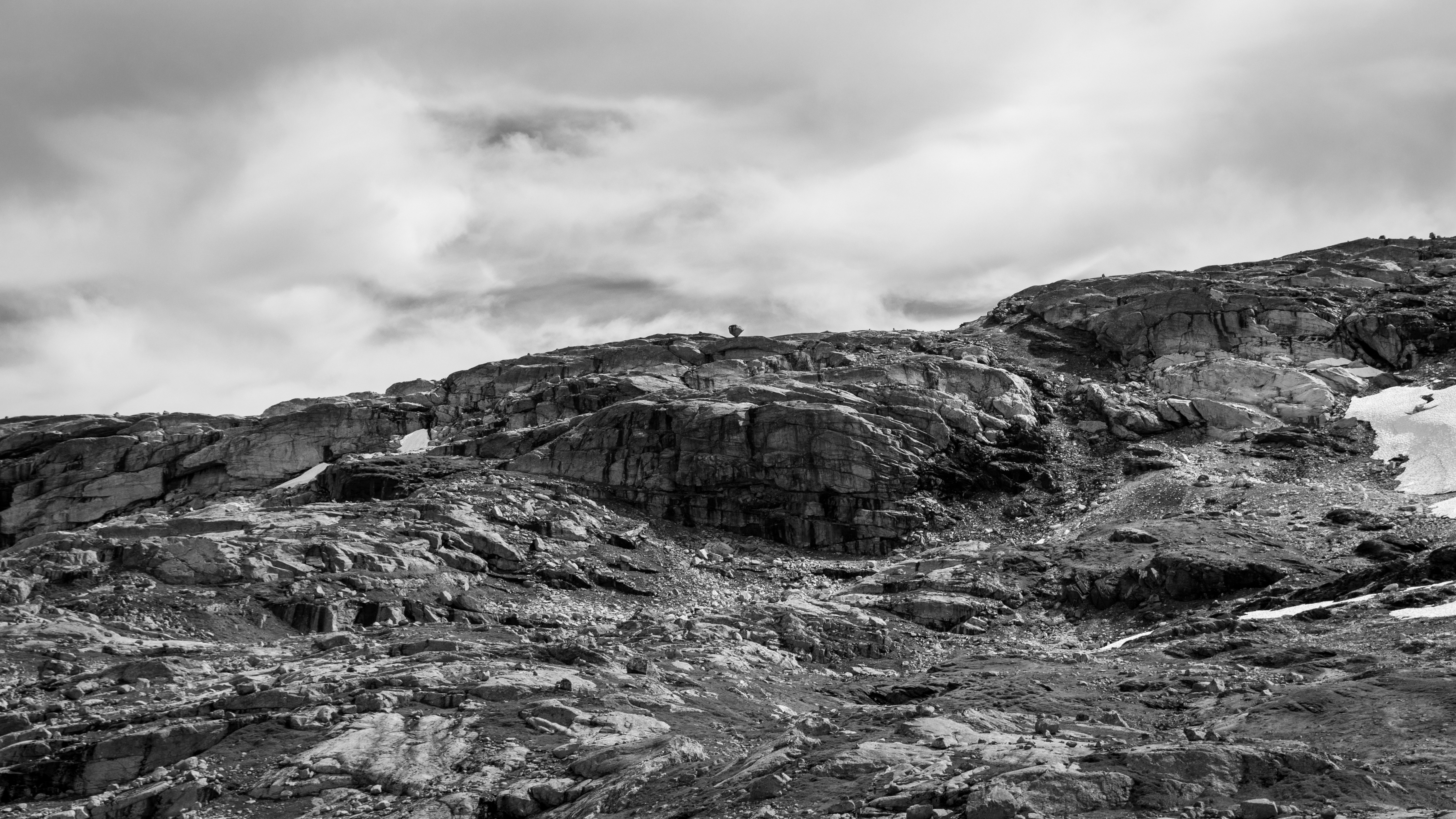 Photo by modry_dinosaurus