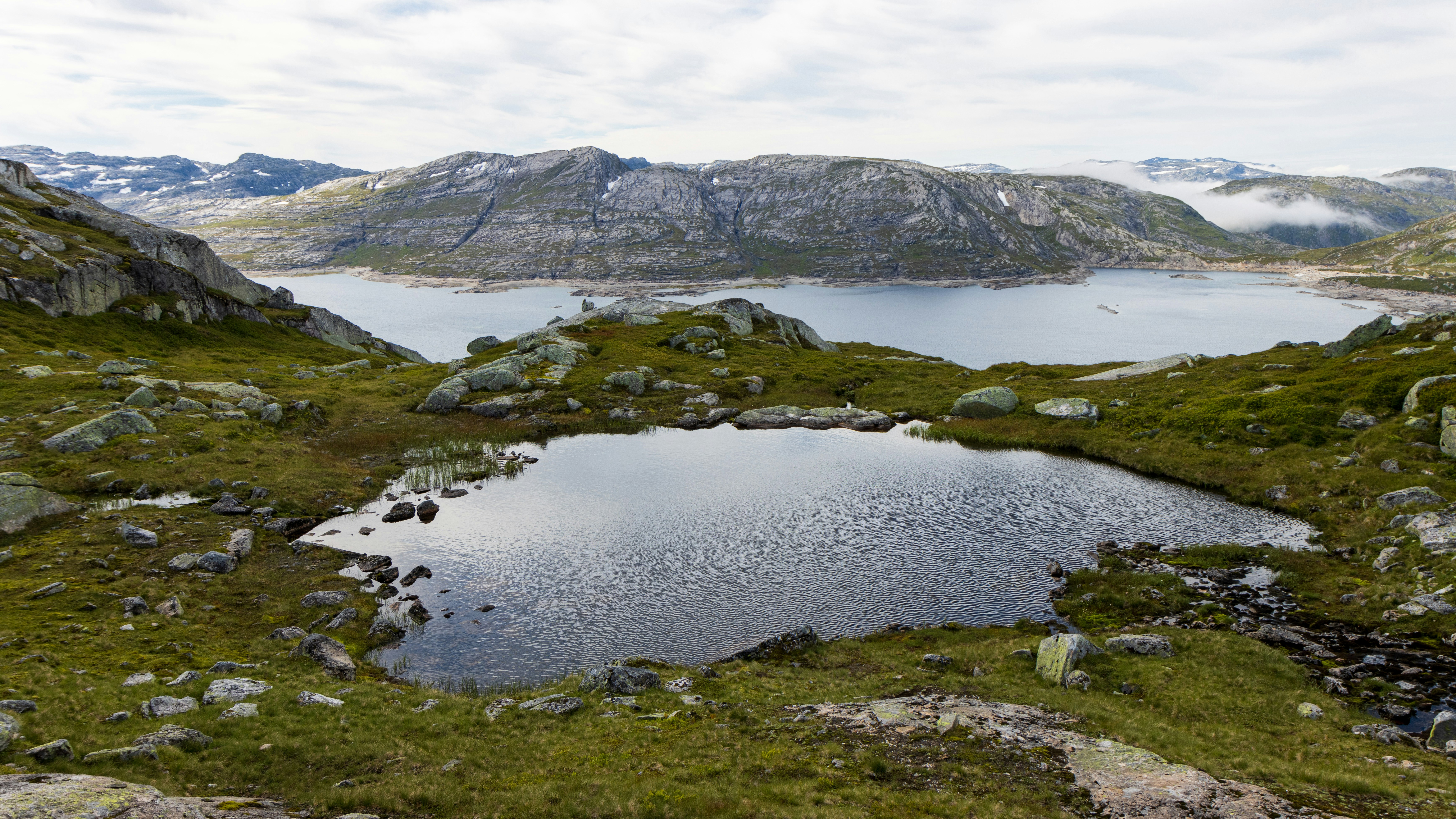 A small pond in the middle of a grassy field