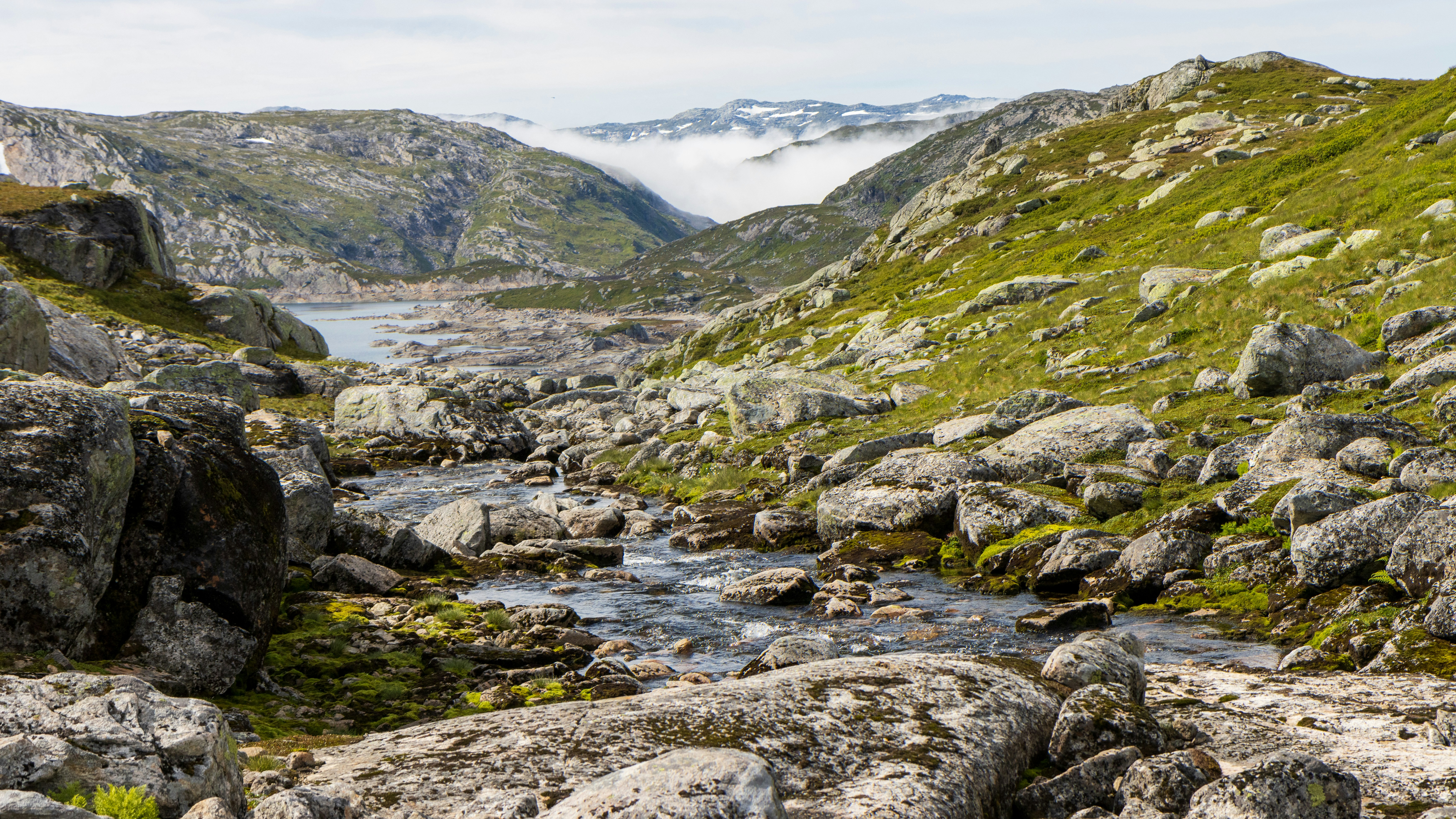 Photo by modry_dinosaurus