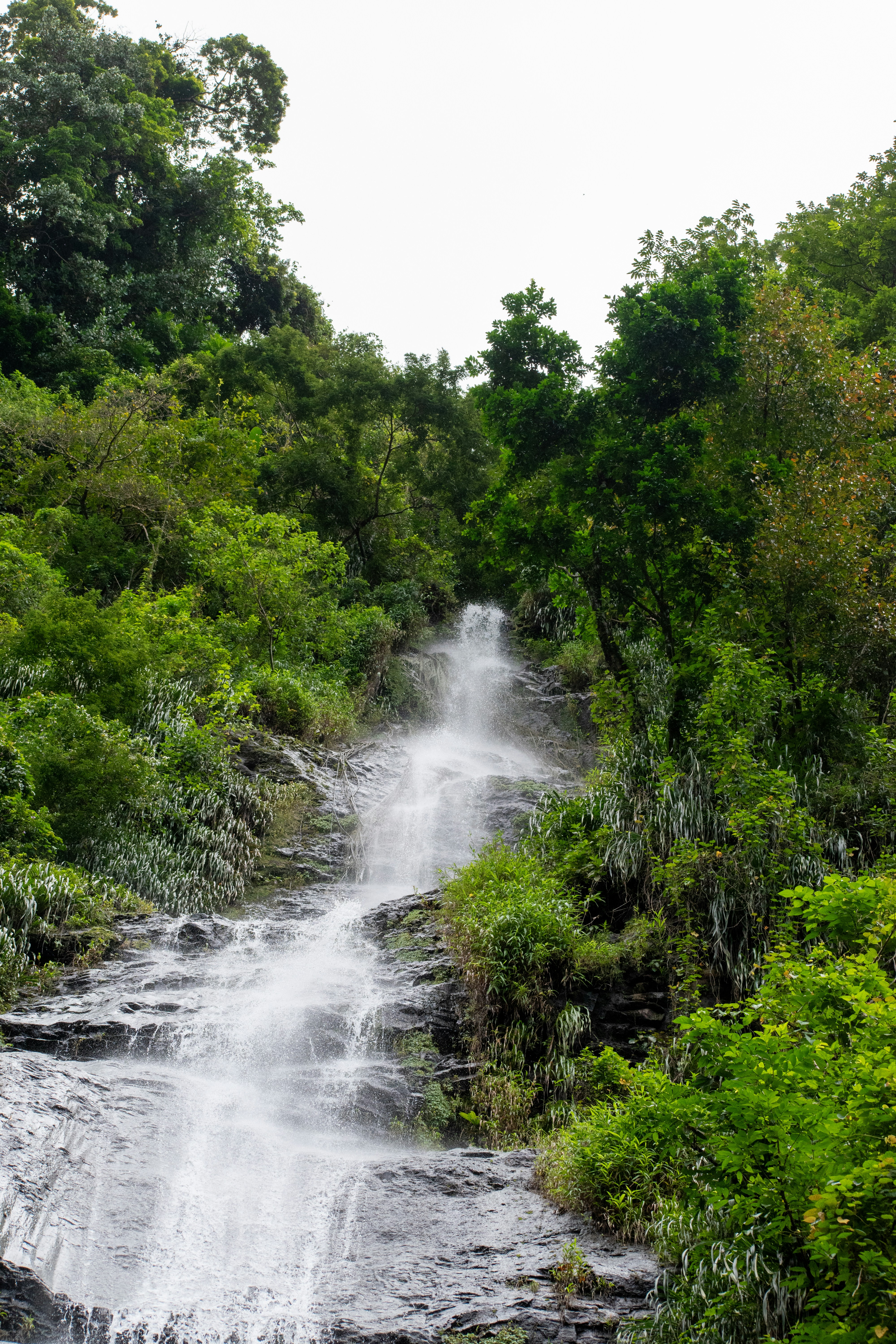 Photo by guiguiblitz