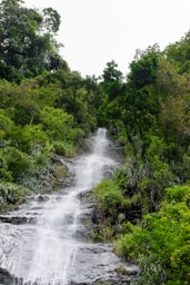 A small waterfall in the middle of a forest