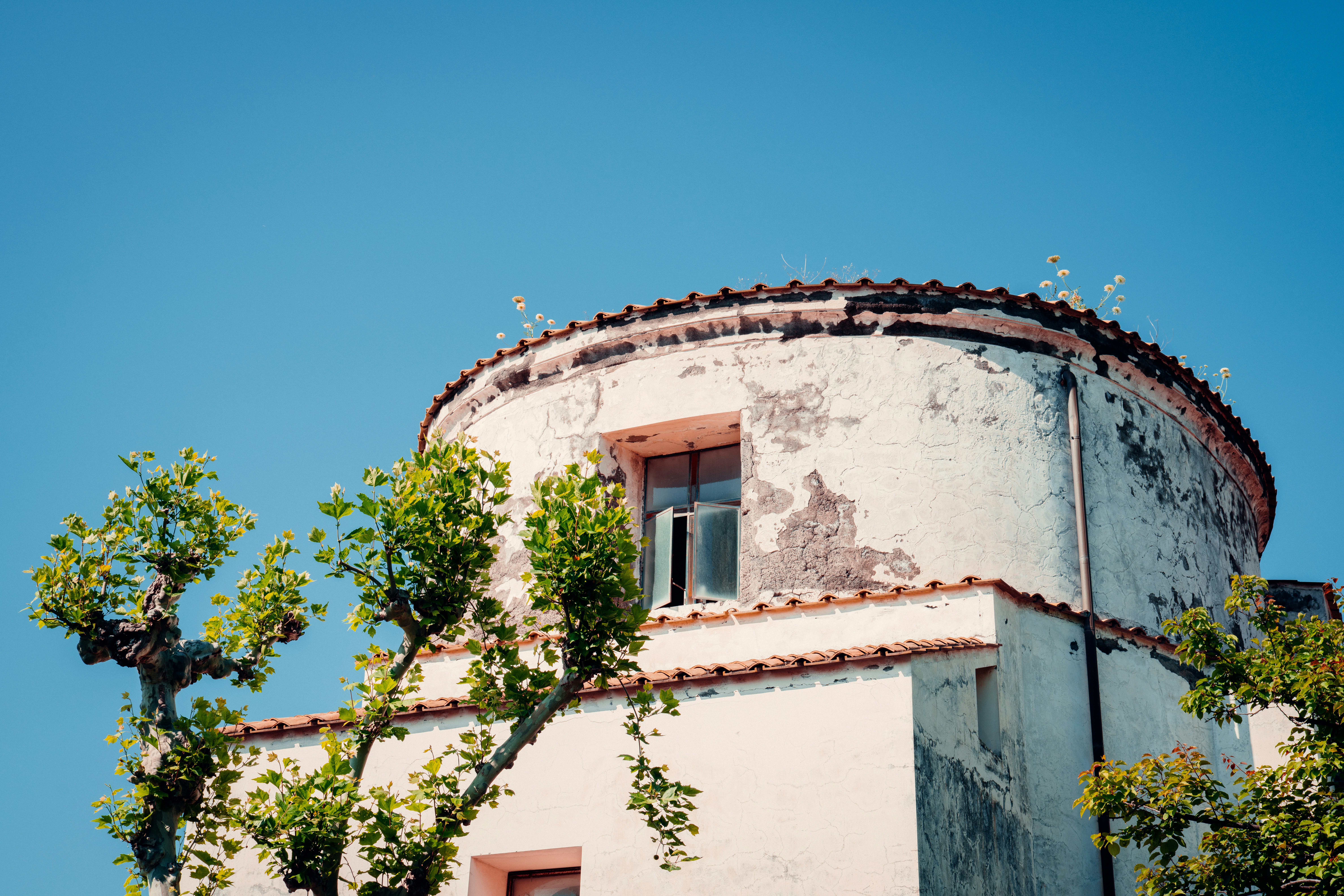 Photo by nickmartinelli98