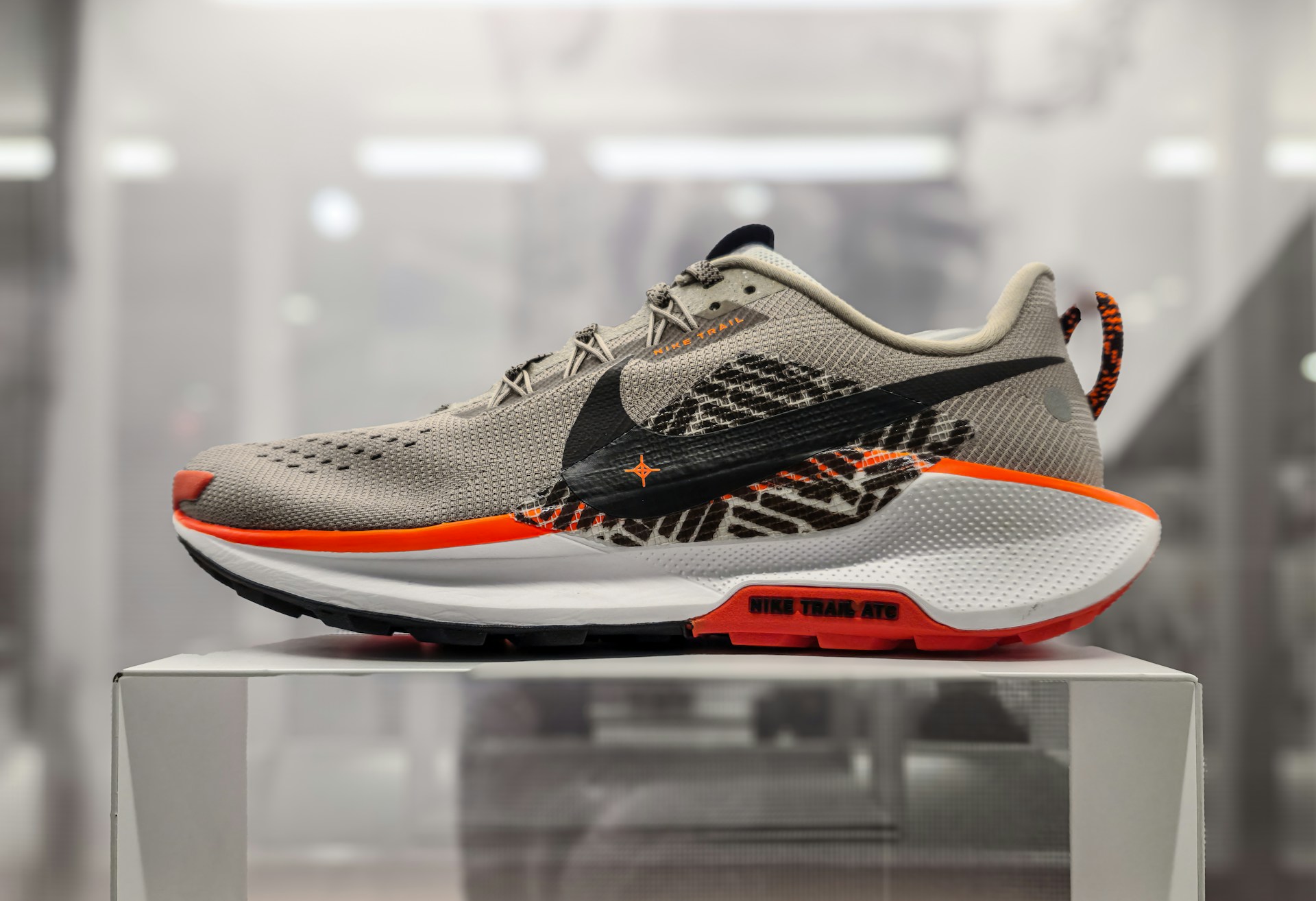 A display case with a shoe on top of it